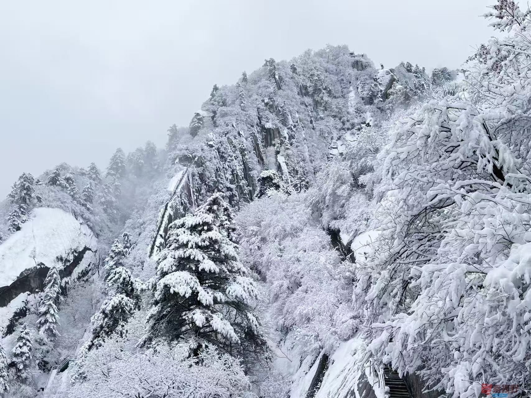 微信图片_20250303142146.jpg