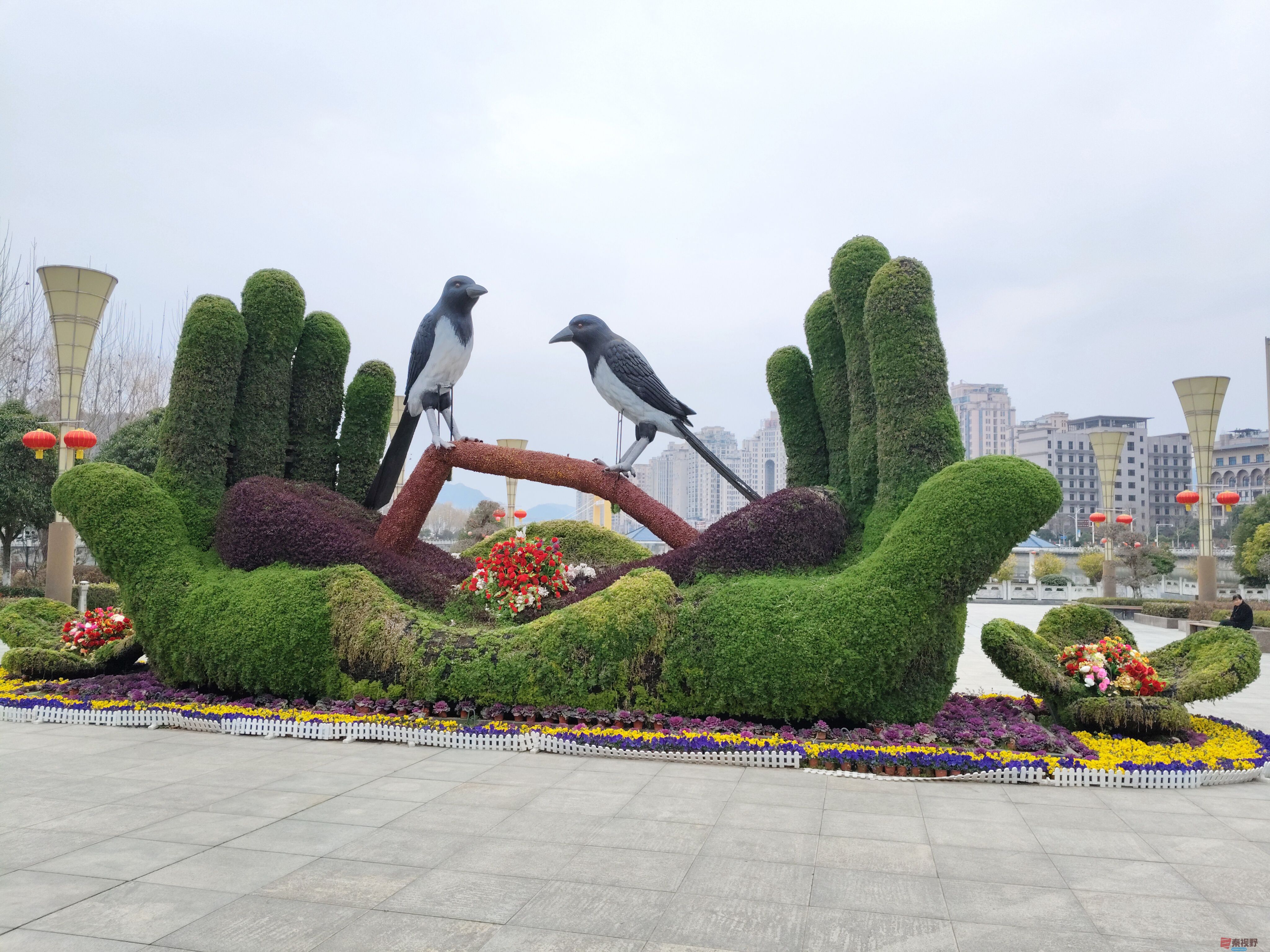 吕卫东七夕广场_20250309182304 (9).jpg