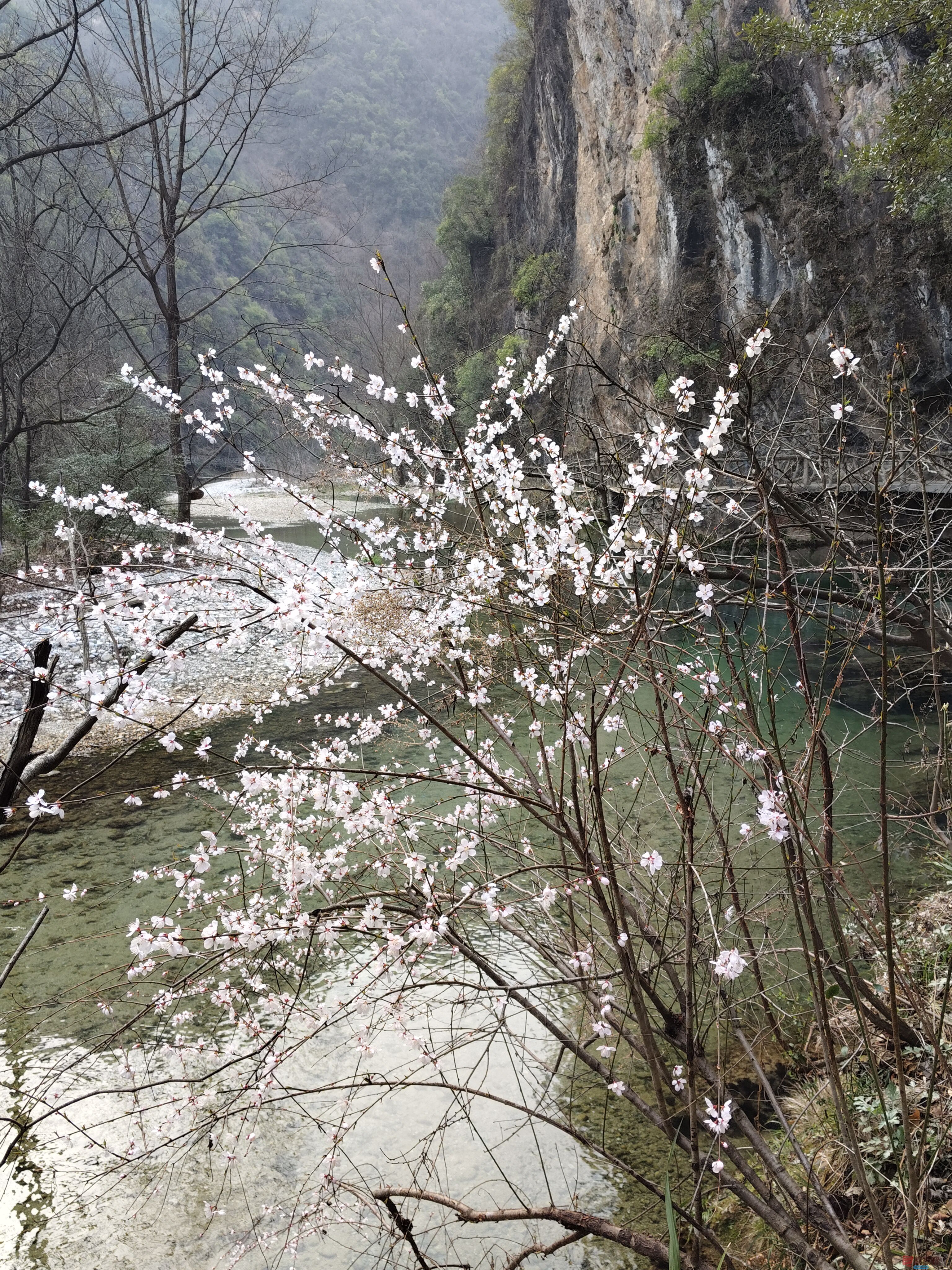 吕卫东五龙河景区_20250309182526 (4).jpg