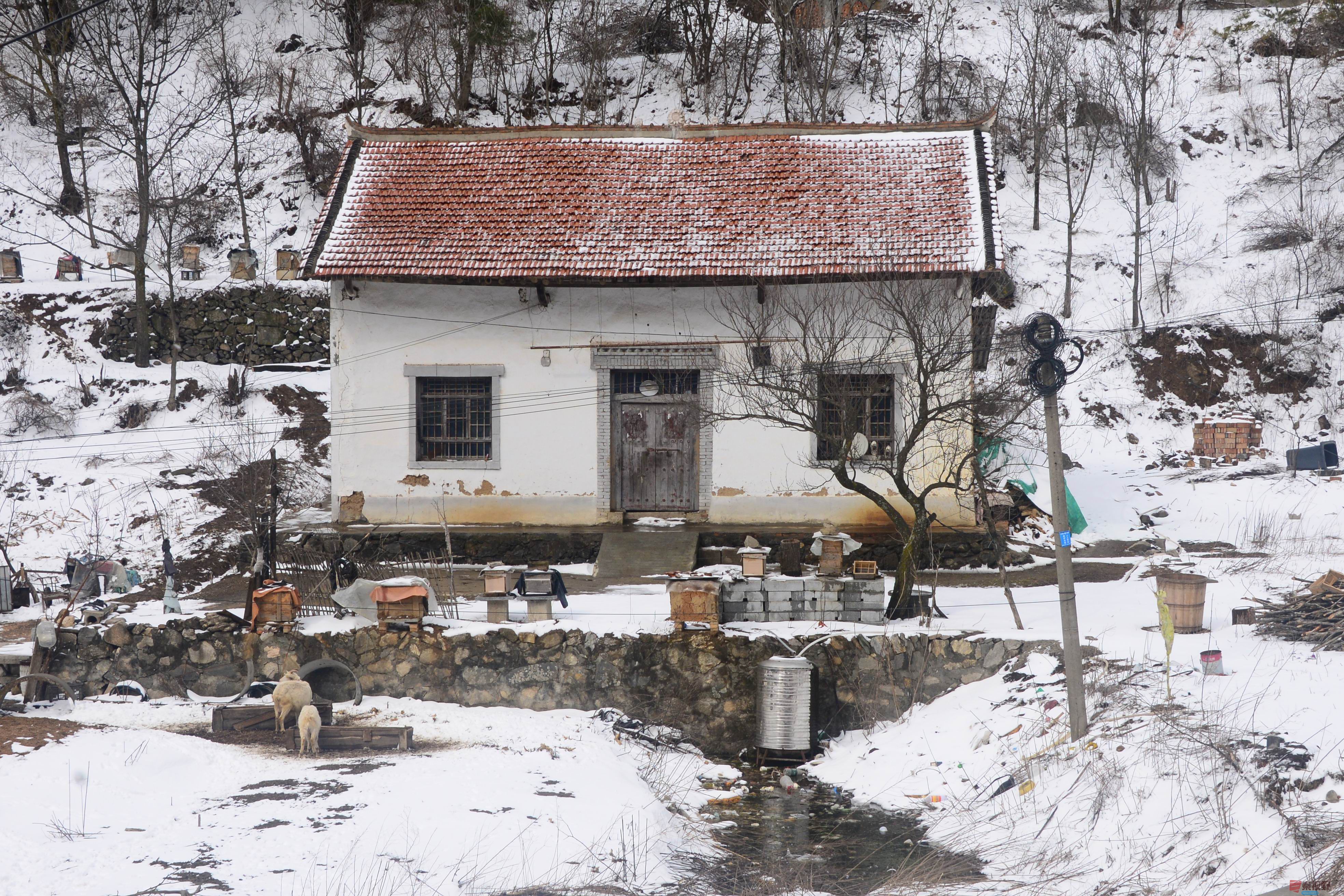 陕西蓝田三月飞雪秦岭小山村美如水墨画