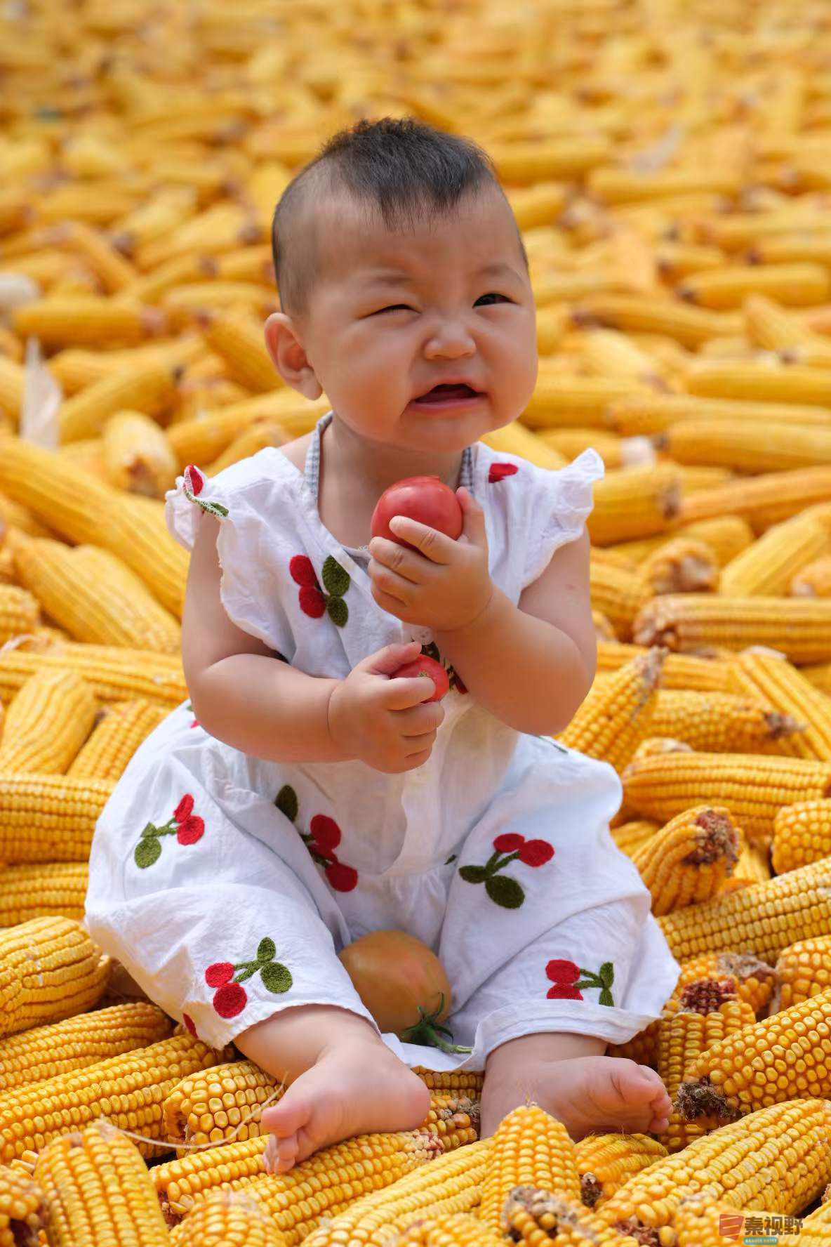 微信图片_20250310075728.jpg