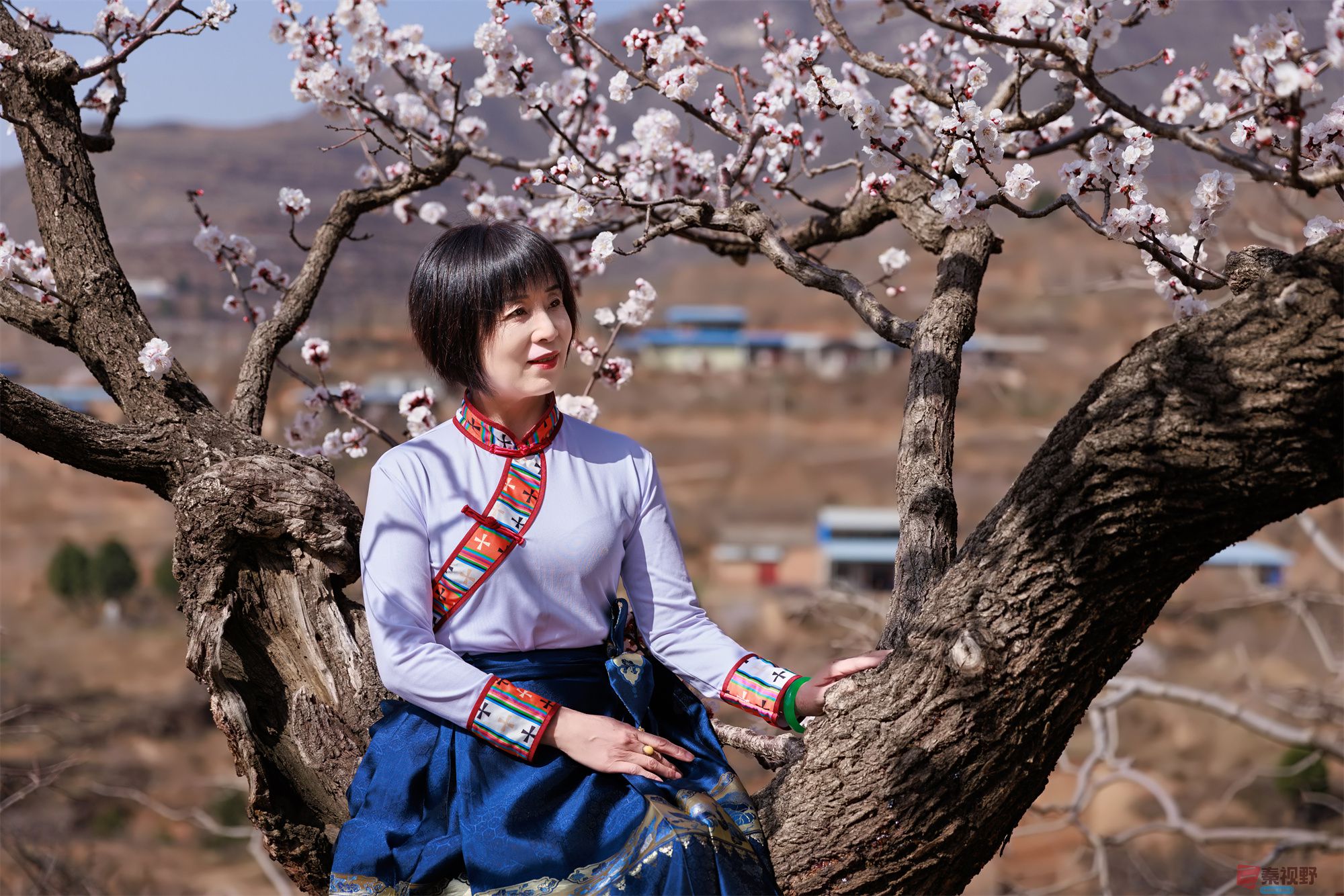 渭南富平桃花源景色【摄影陈辉】