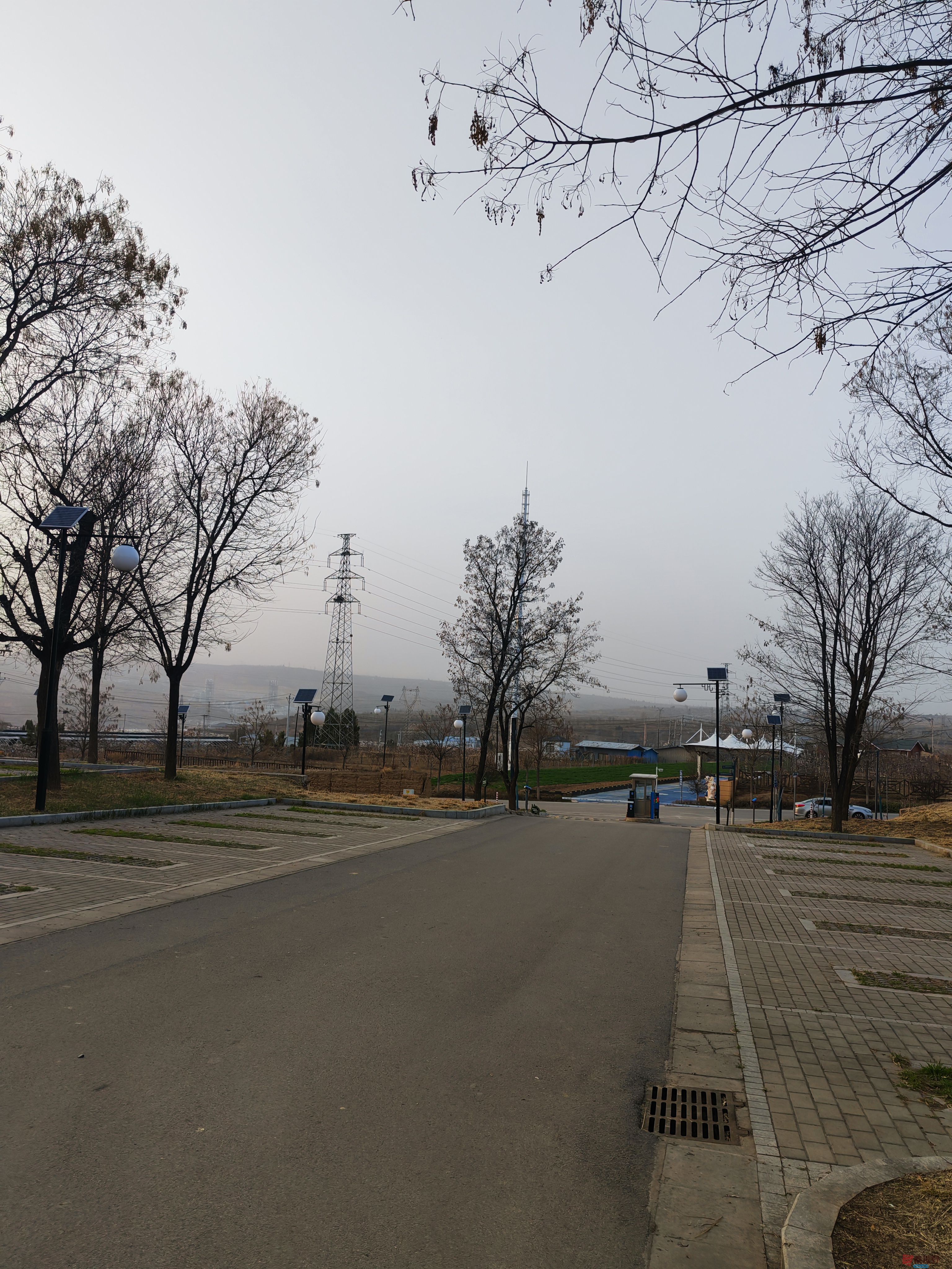 IMG_20250323_182803.jpg