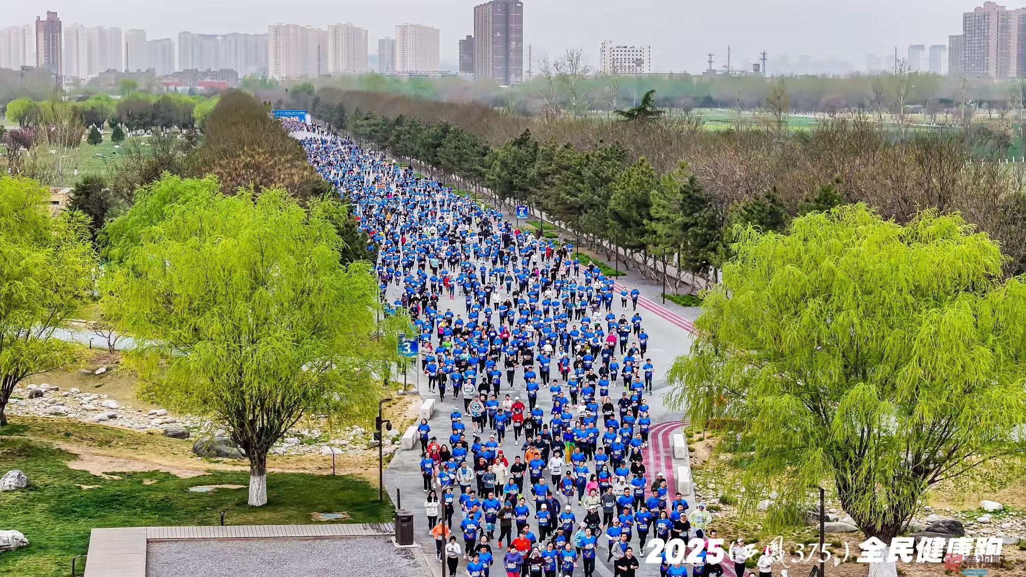多乐_20250329170920.jpg