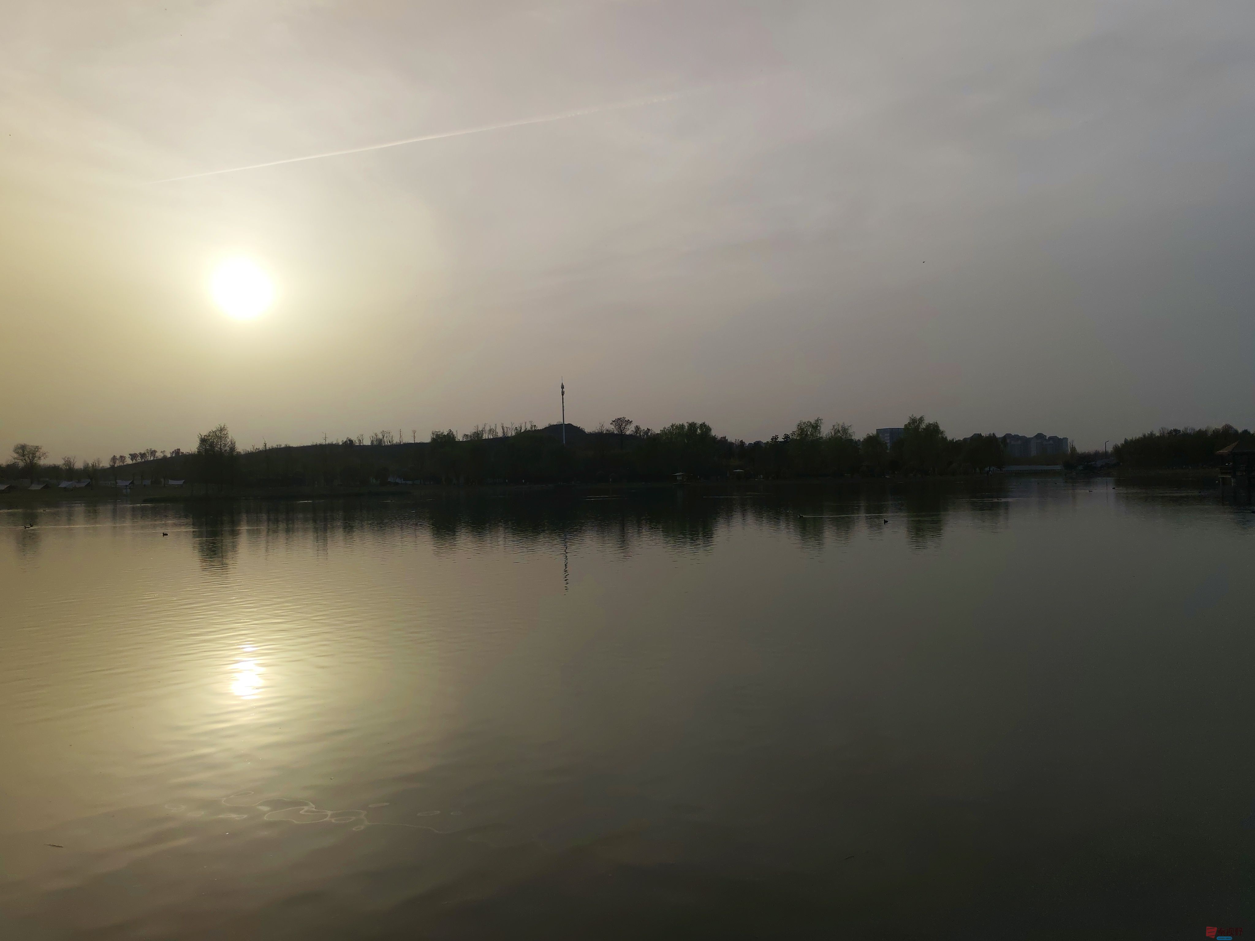 IMG_20250405_181604.jpg