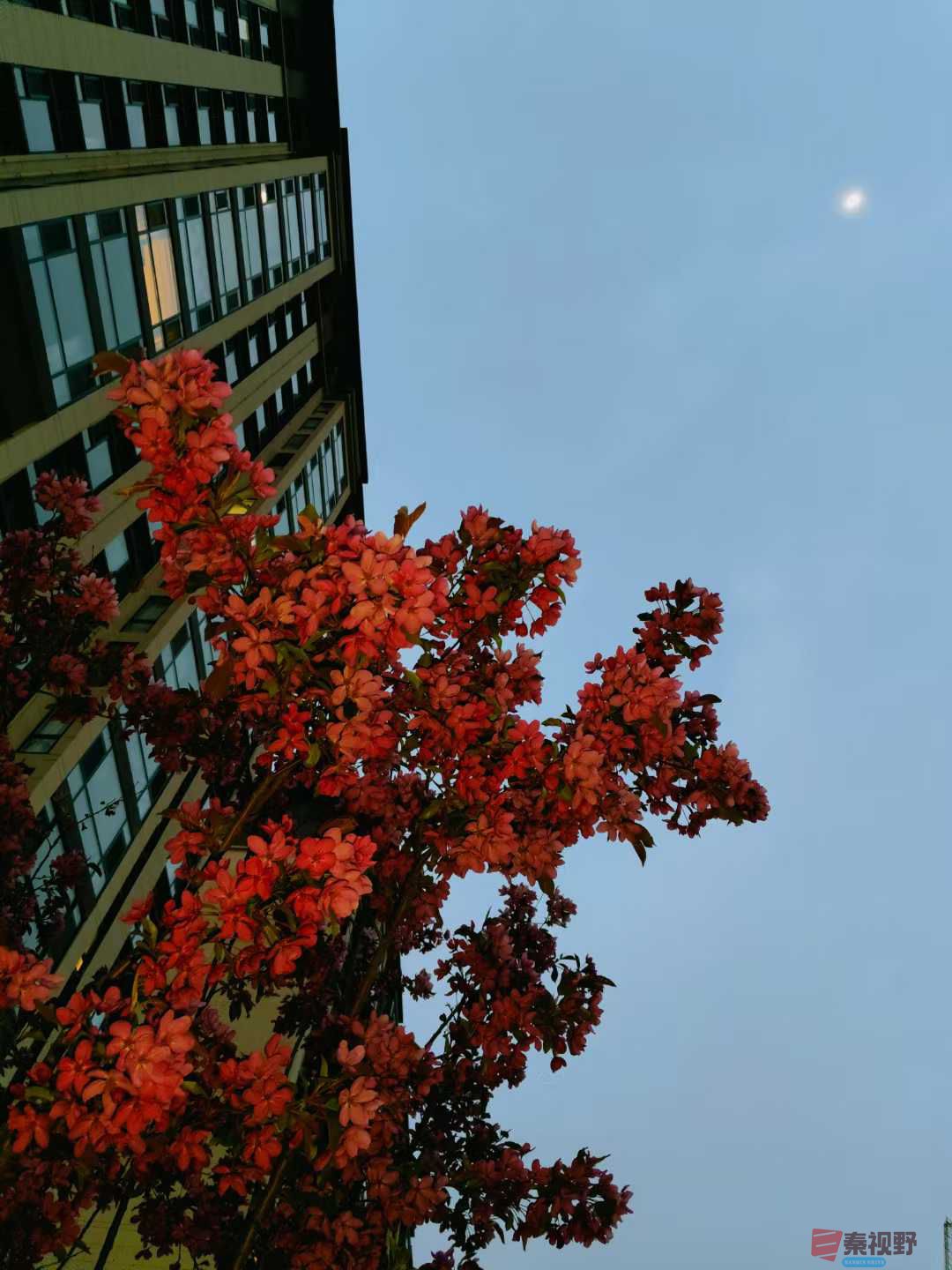 吕卫东_20250408130838 (4).jpg