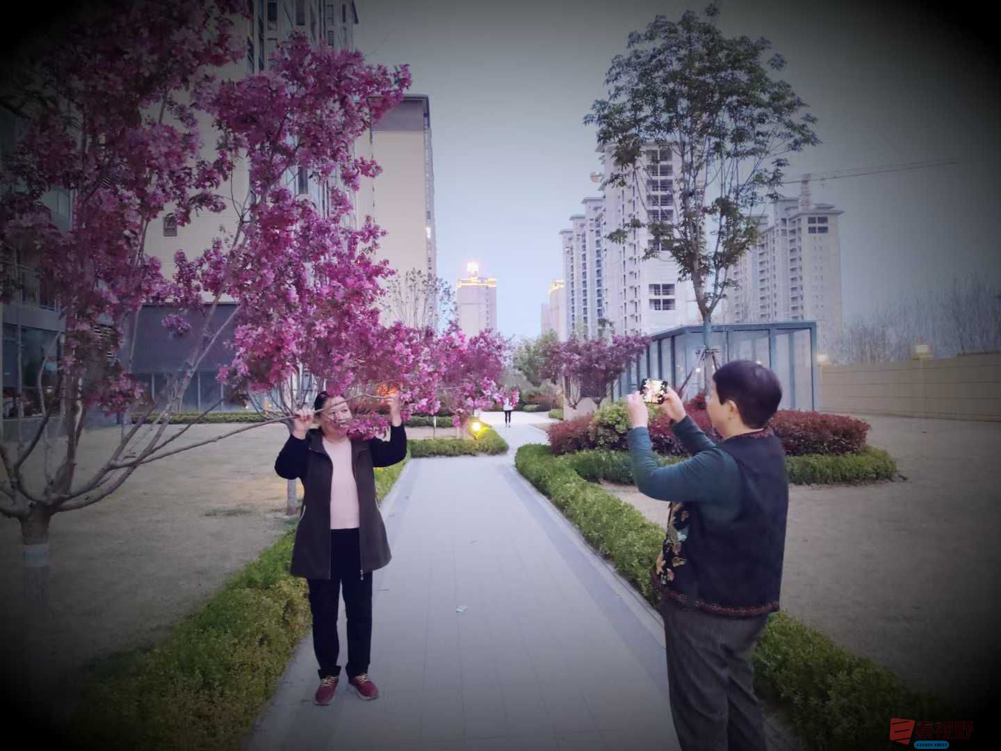 吕卫东_20250408130838 (5).jpg