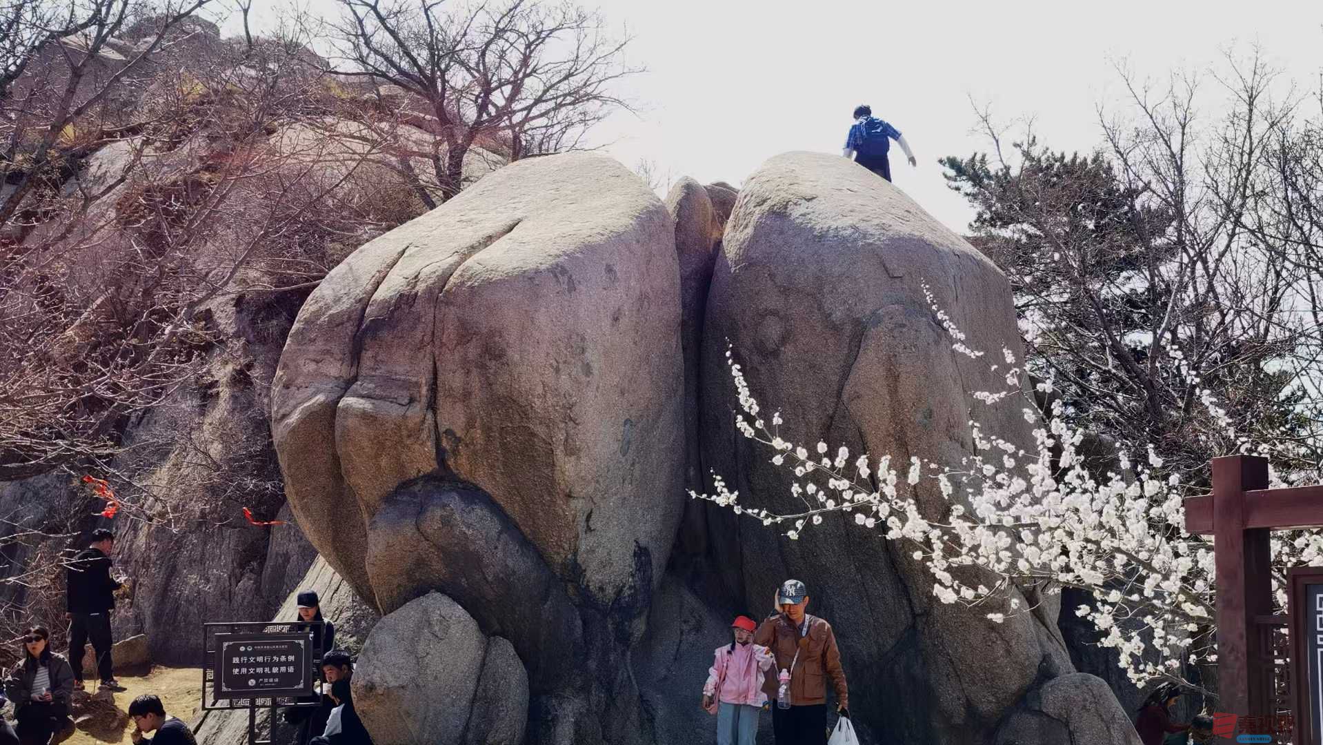 马世国_20250408125809 (8).jpg