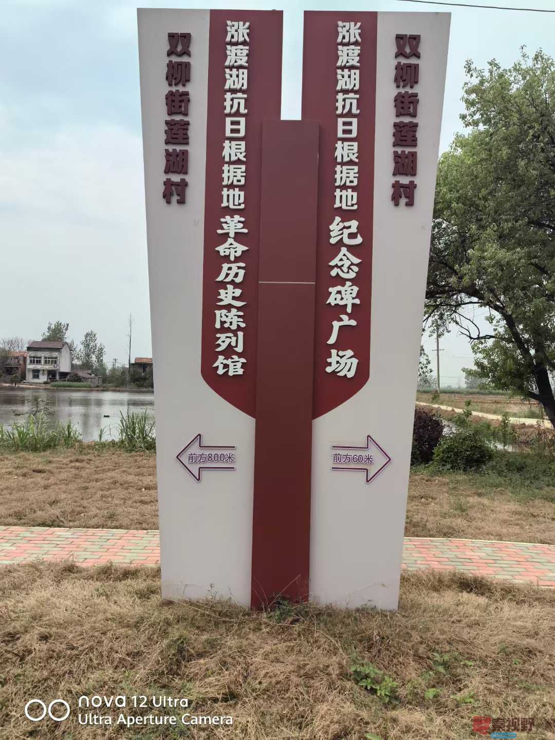 王子文_20250408102537 (1).jpg