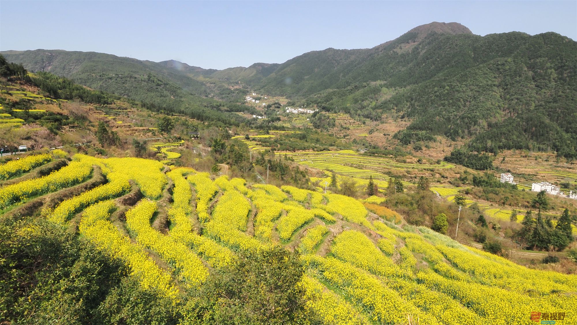 黄风升_20250409084518 (10).jpg