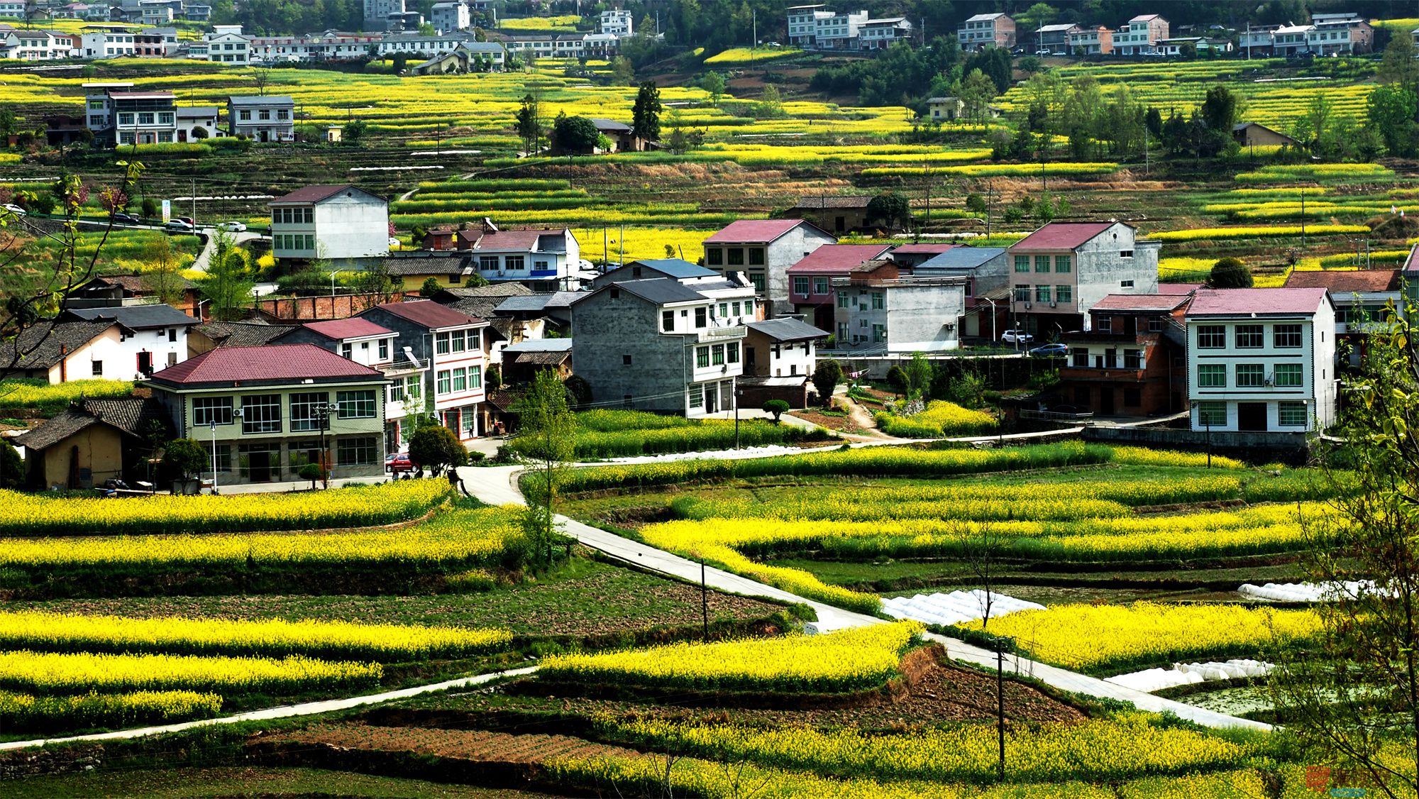 黄风升_20250409084518 (14).jpg