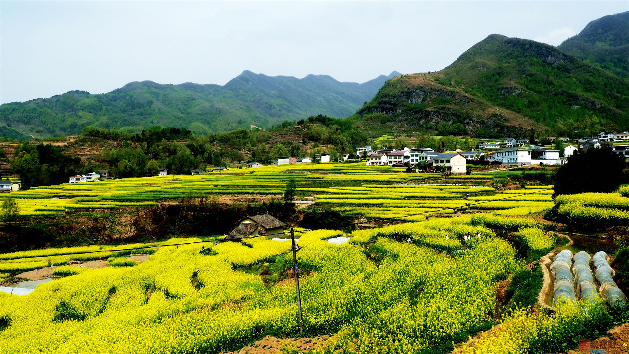 黄风升_20250409084518 (15).jpg