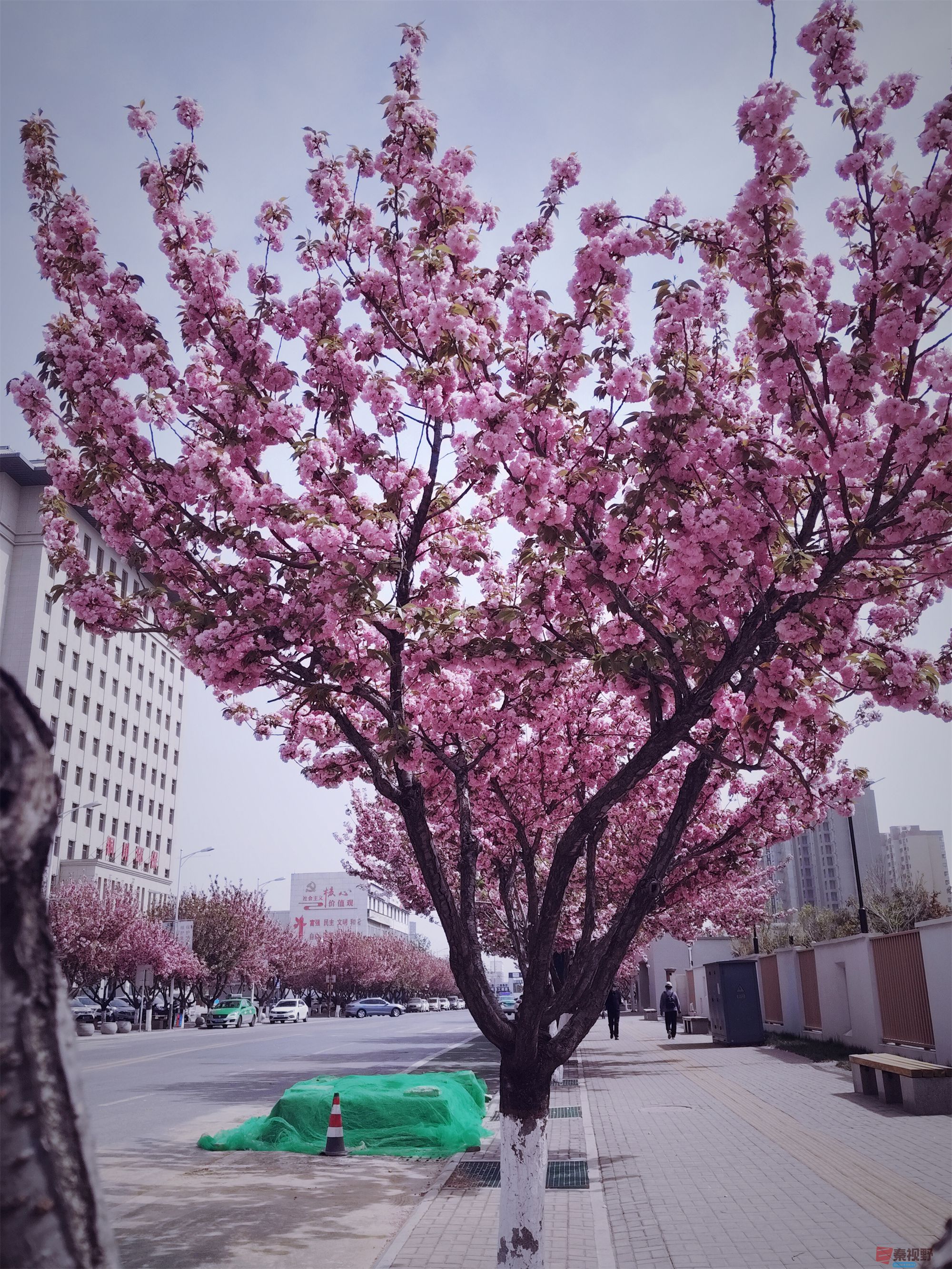 吕卫东0103.jpg