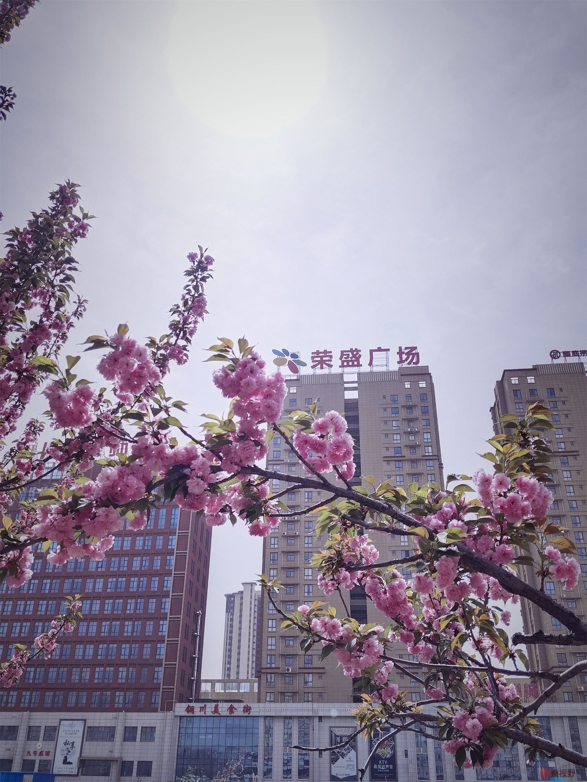 吕卫东0105.jpg