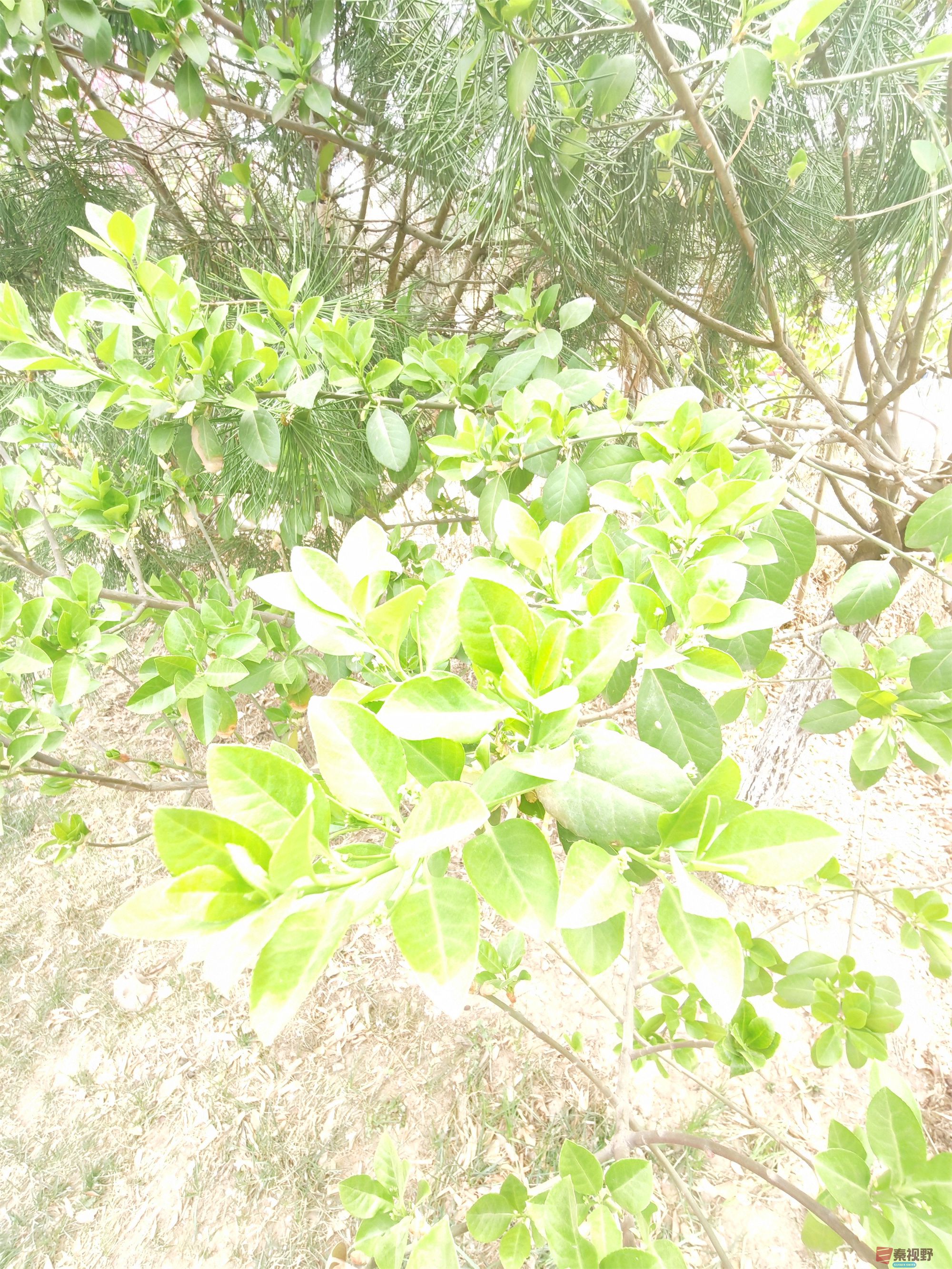 压缩MG_20250415_122635 (30).jpg