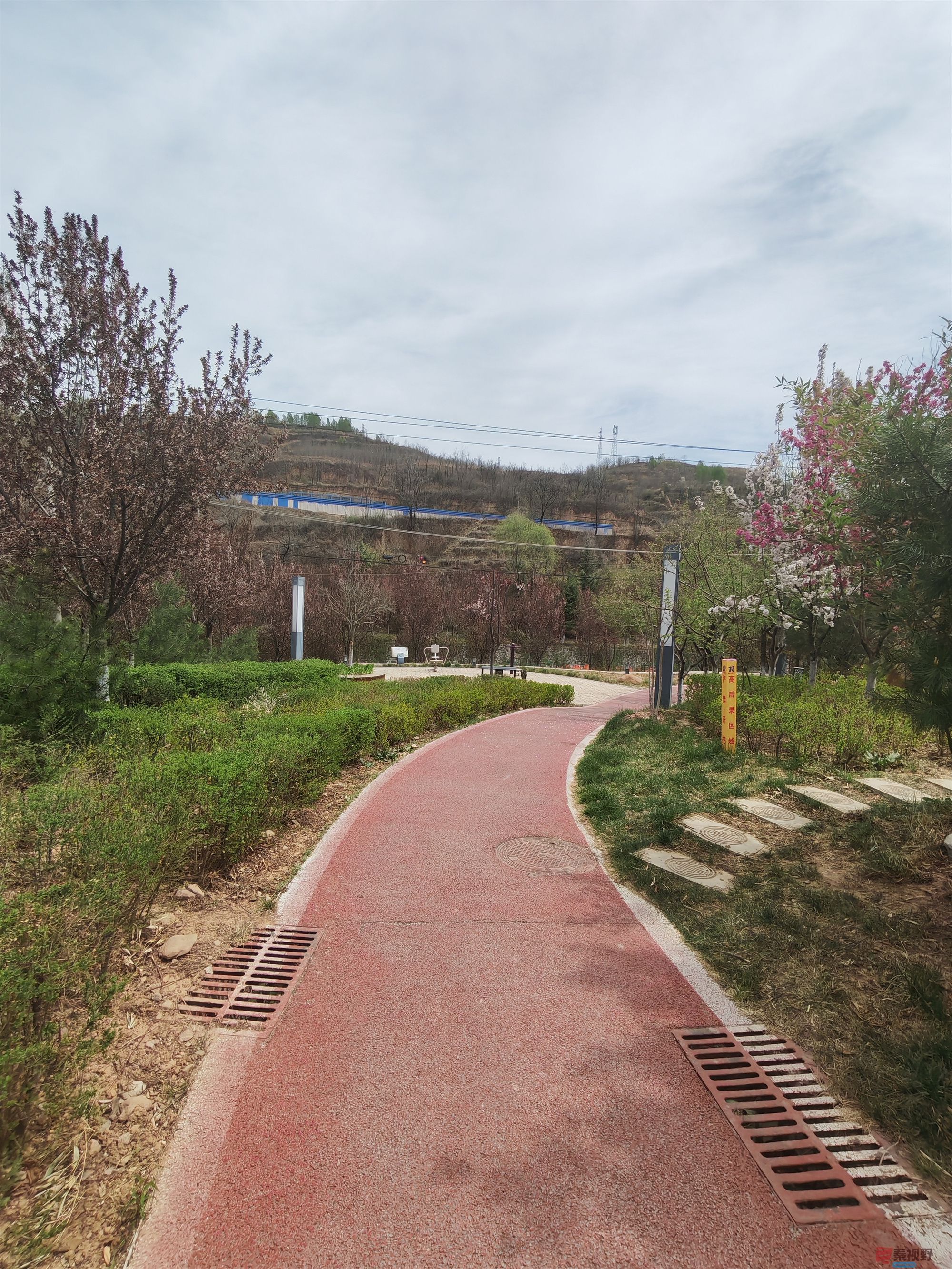 压缩MG_20250415_122635 (32).jpg