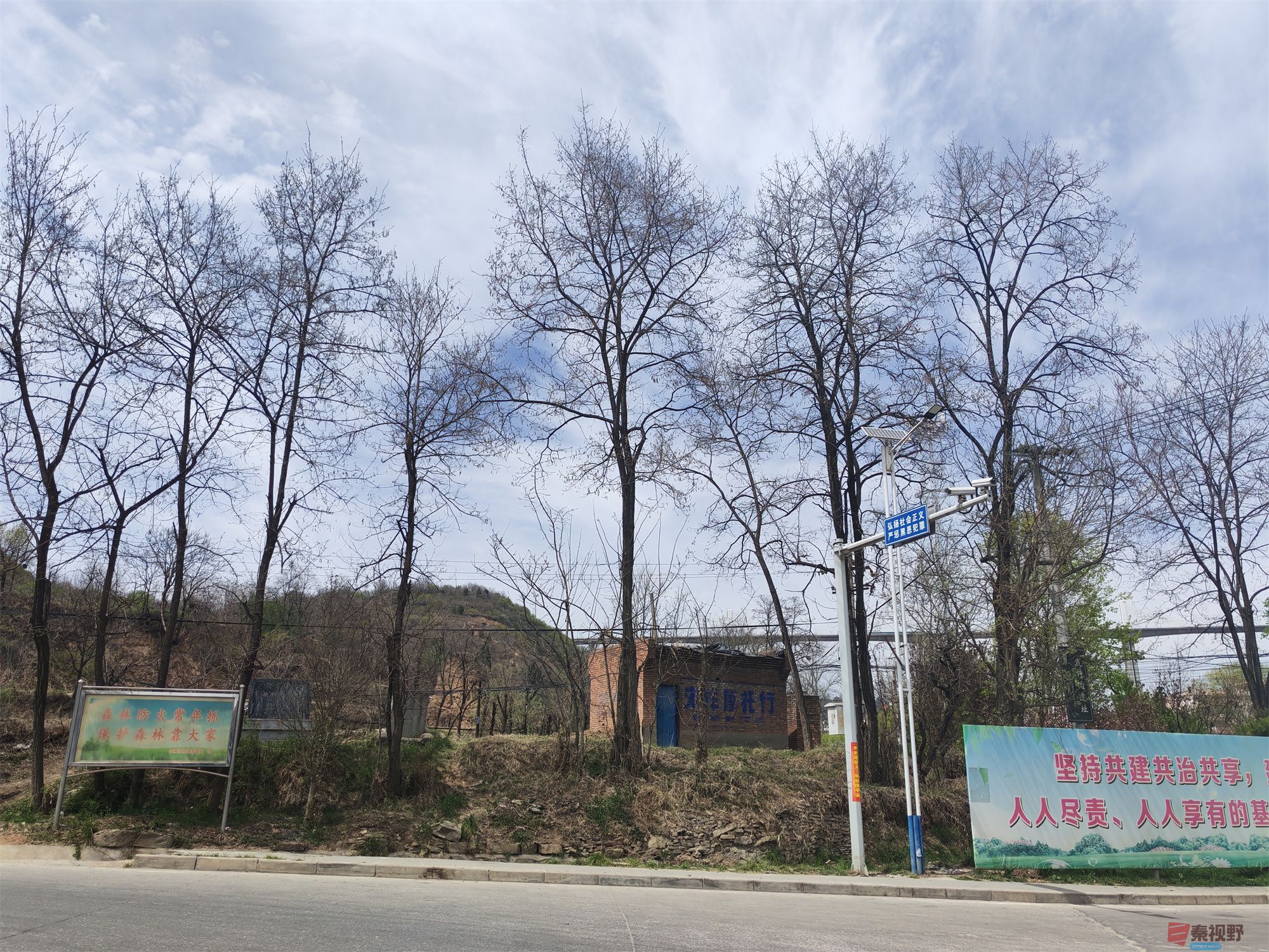 压缩MG_20250415_122635 (38).jpg