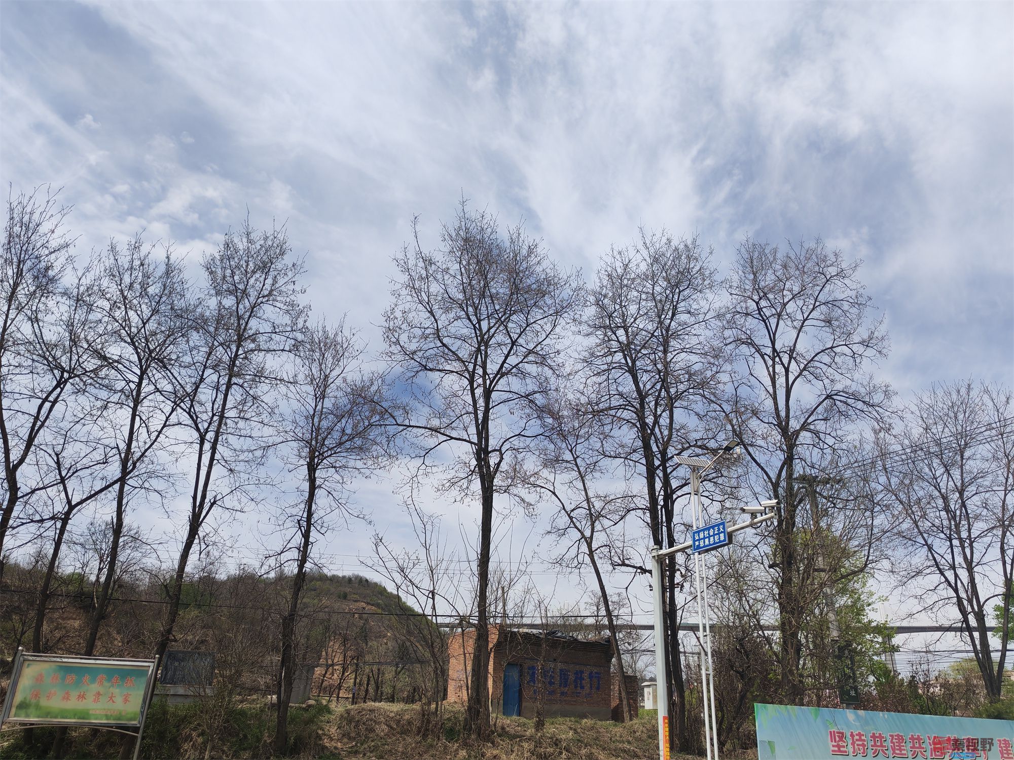 压缩MG_20250415_122635 (39).jpg