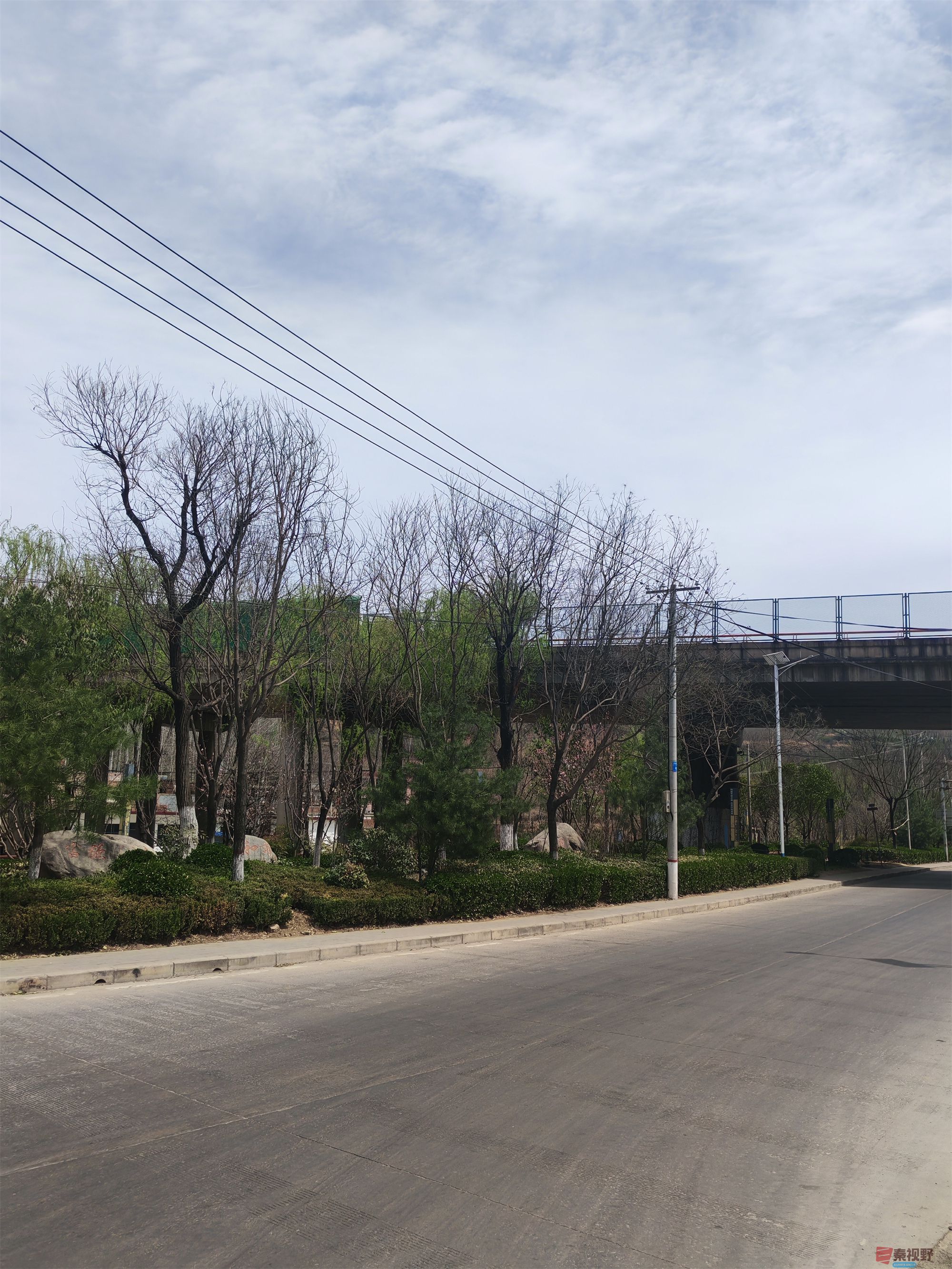压缩MG_20250415_122635 (42).jpg