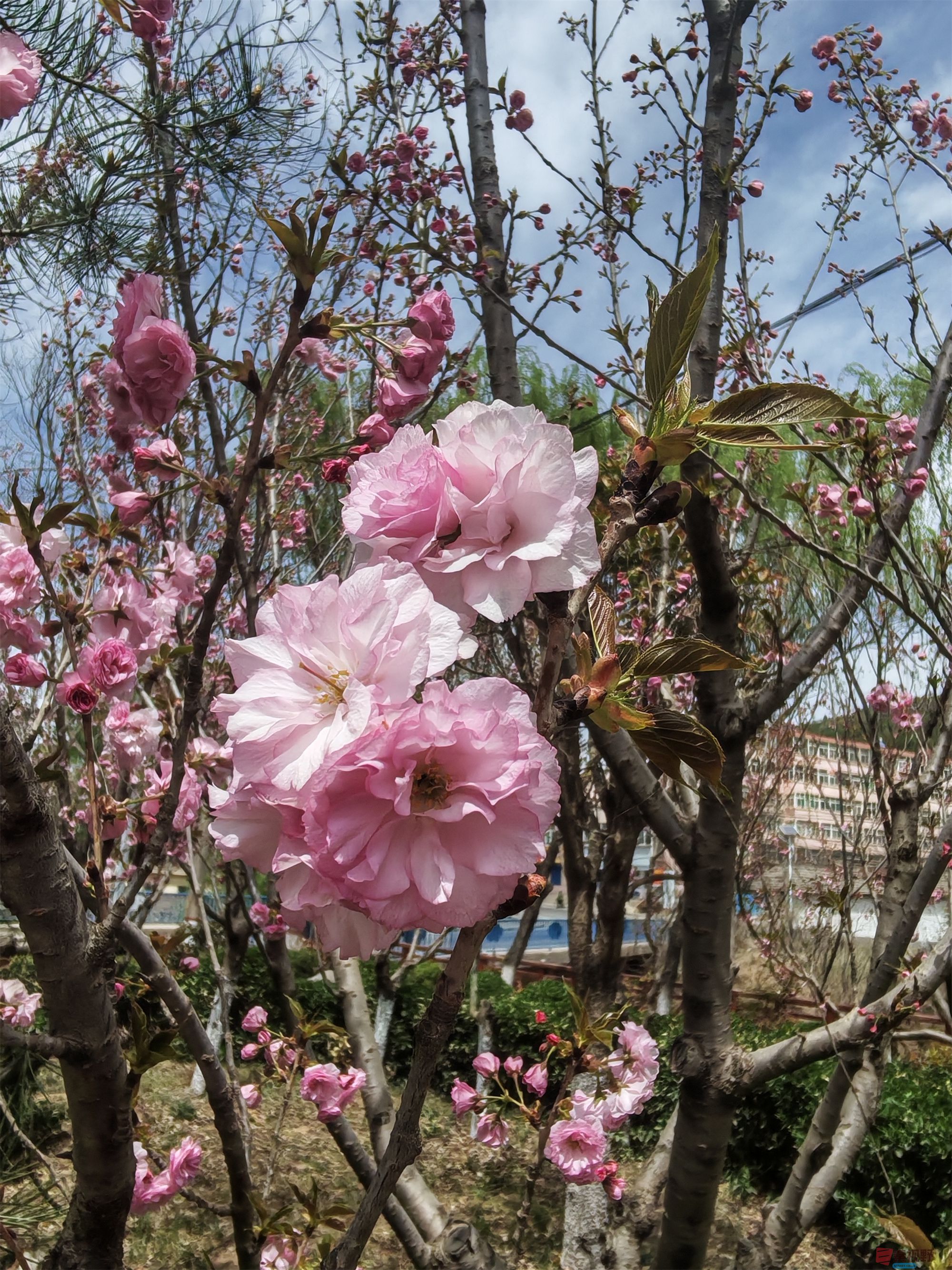 压缩MG_20250415_122635 (43).jpg