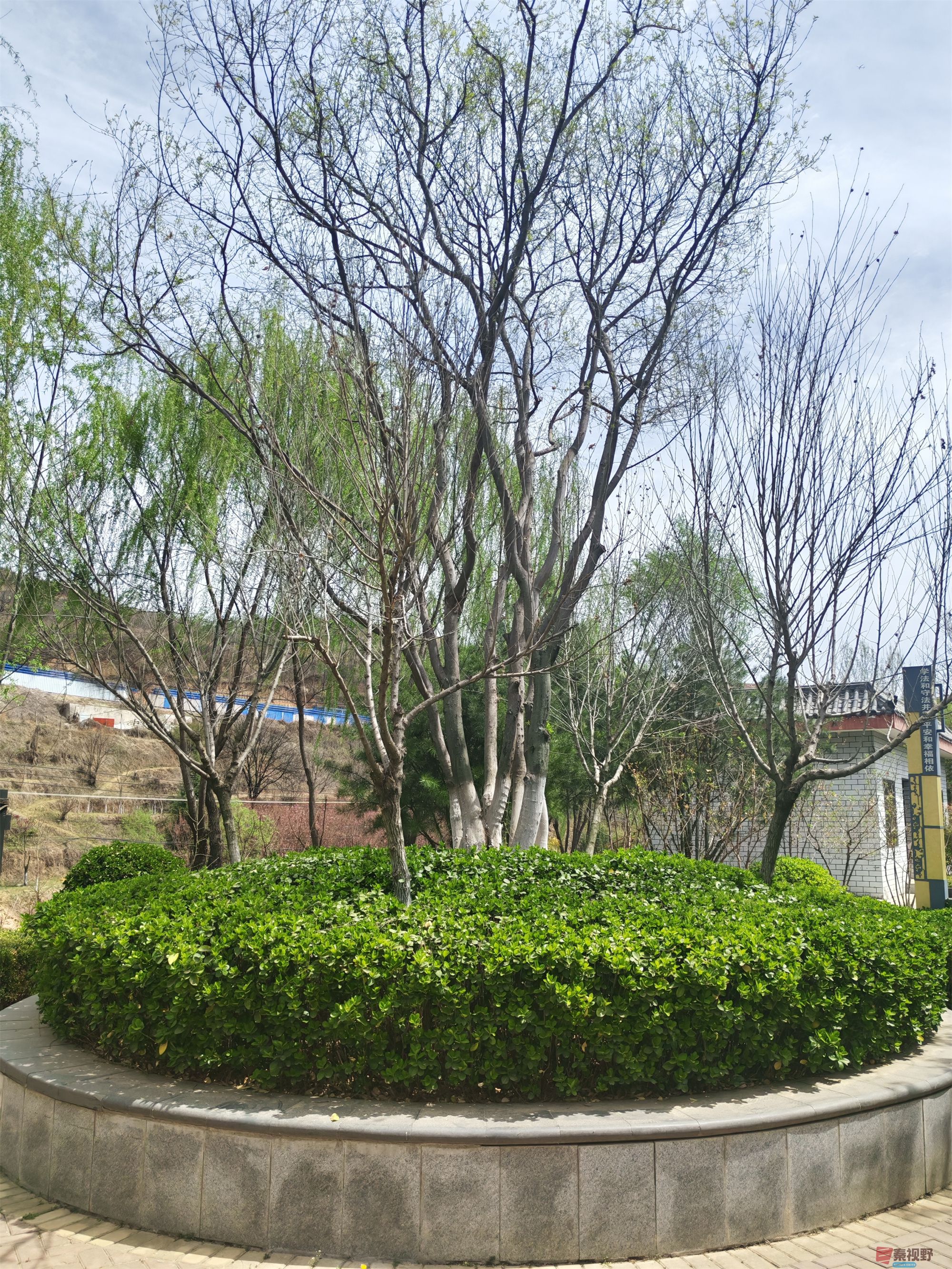 压缩MG_20250415_122635 (52).jpg