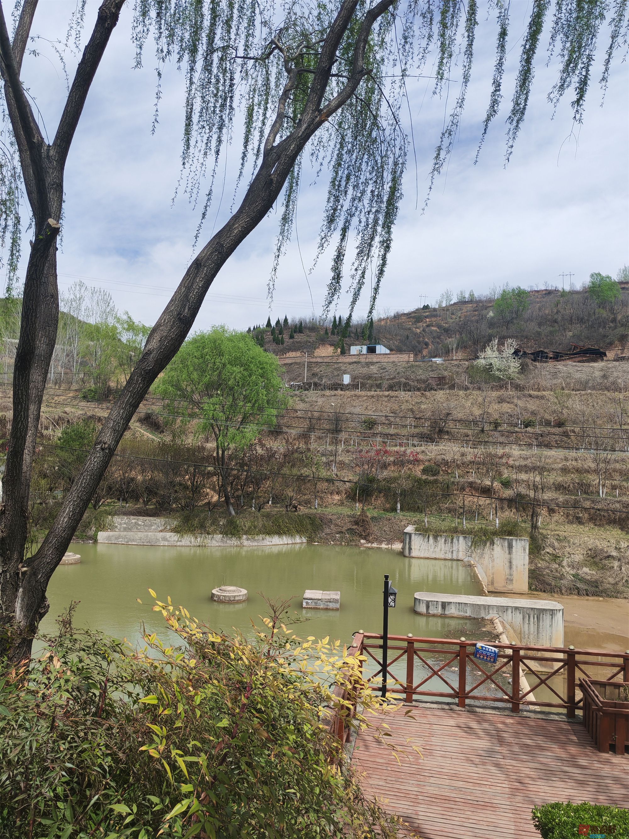 人间最美四月天，铜川王家河湿地公园好风景（7  ）  【摄影