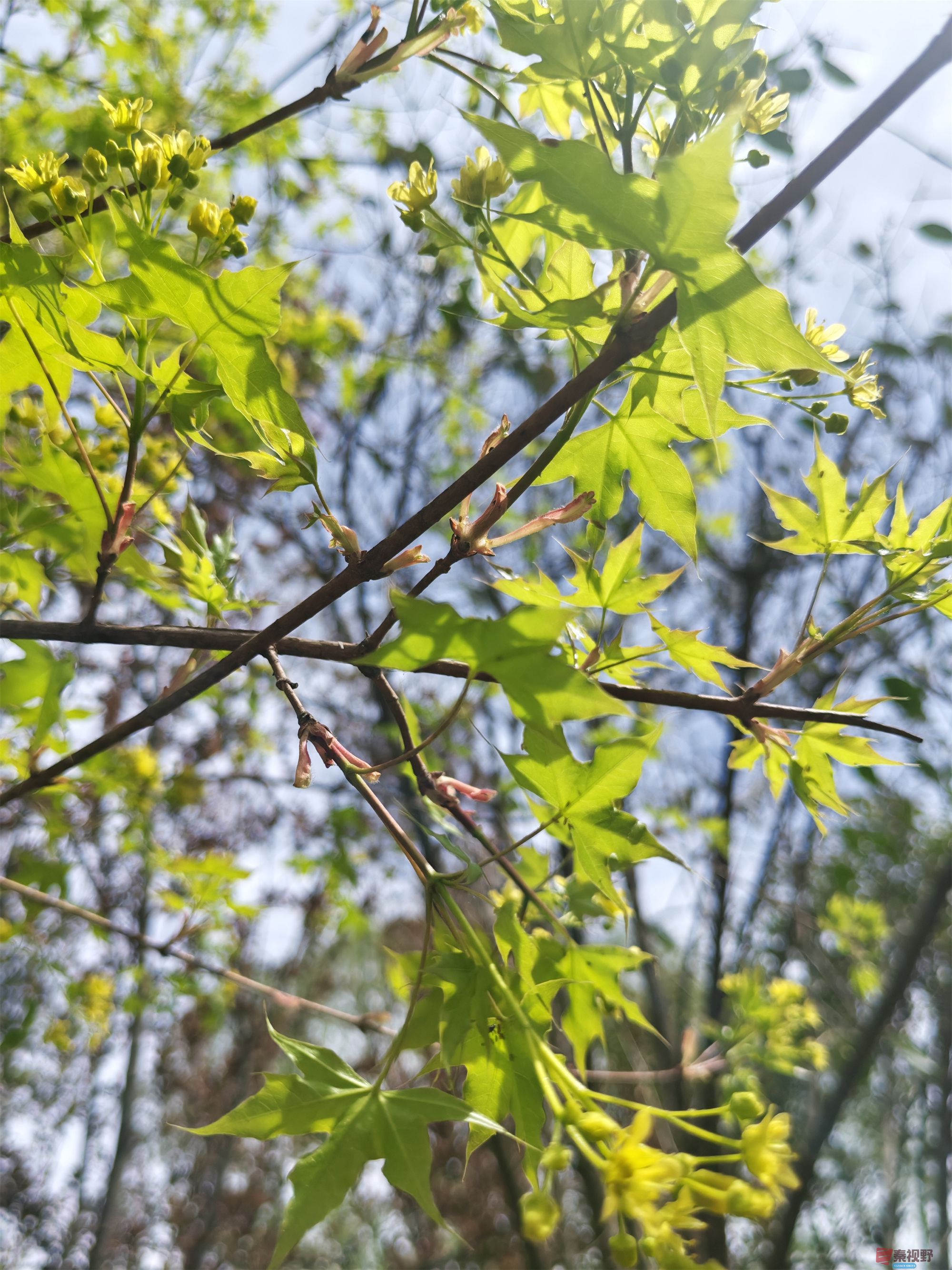 压缩MG_20250415_122635 (67).jpg