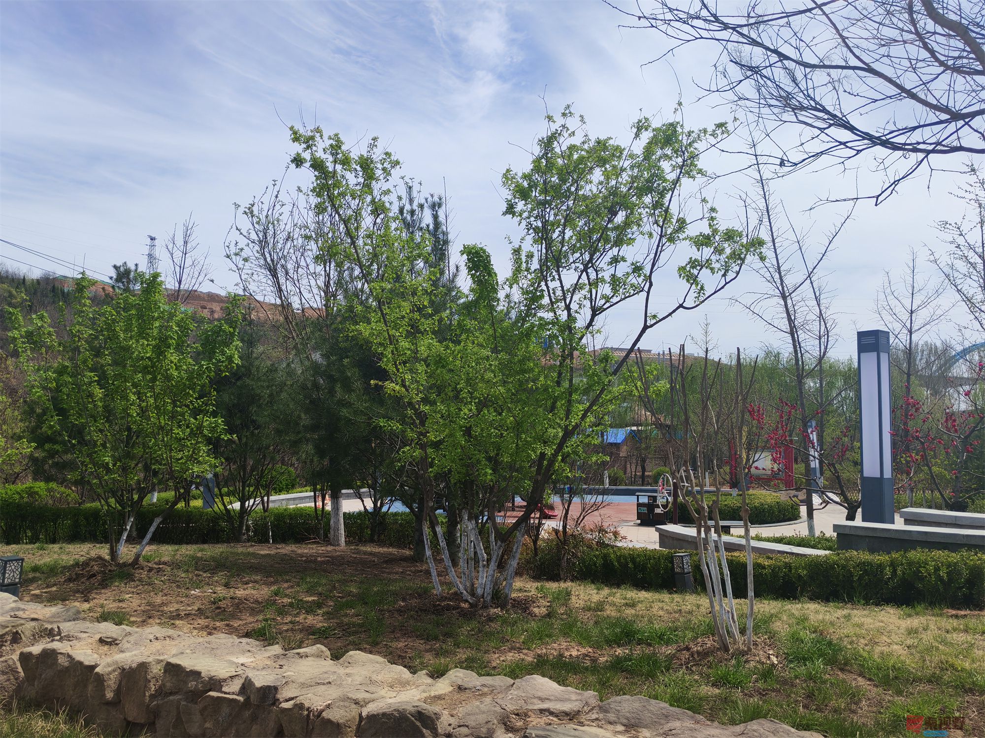 压缩MG_20250415_122635 (77).jpg