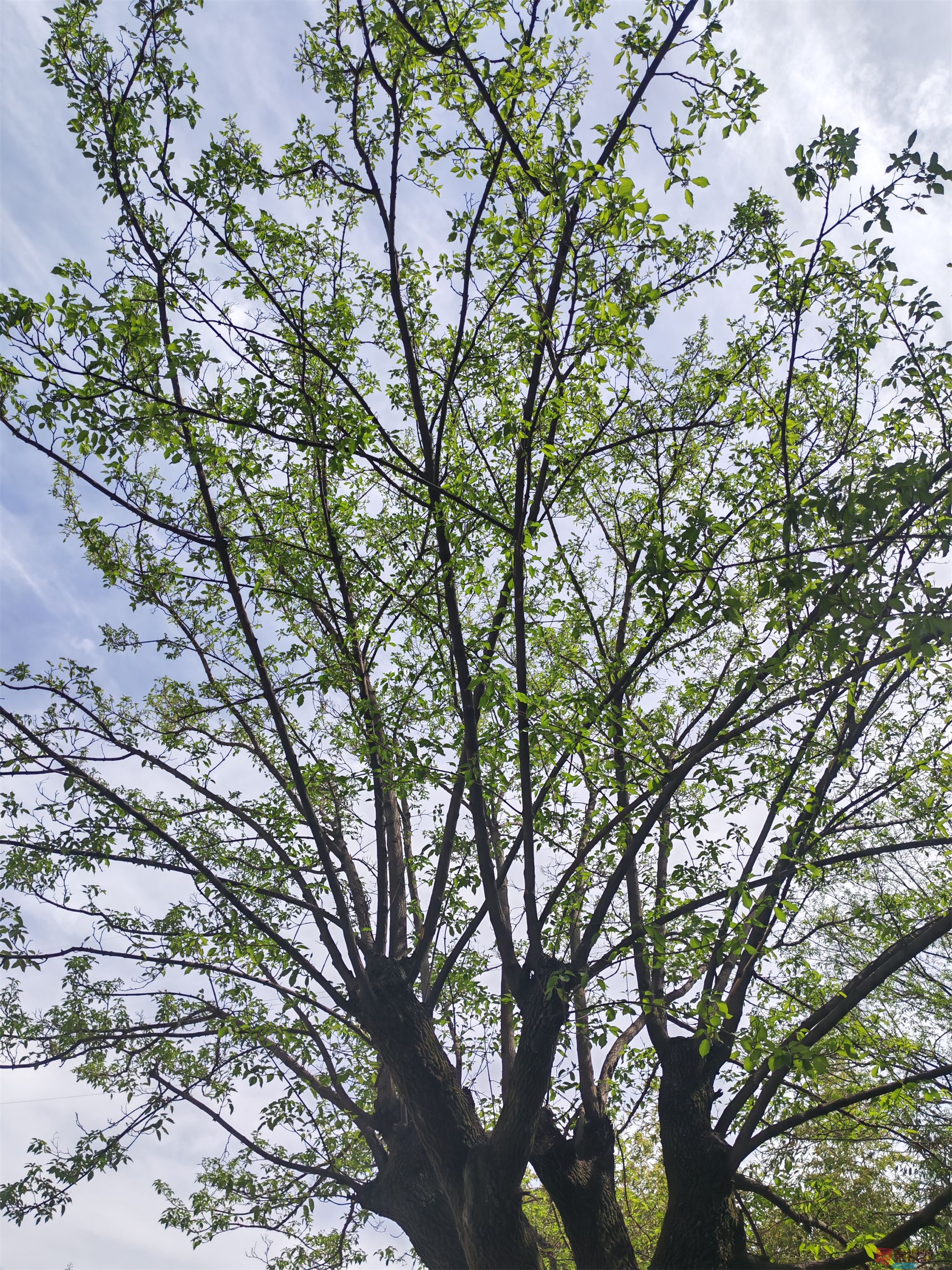压缩MG_20250415_122635 (85).jpg