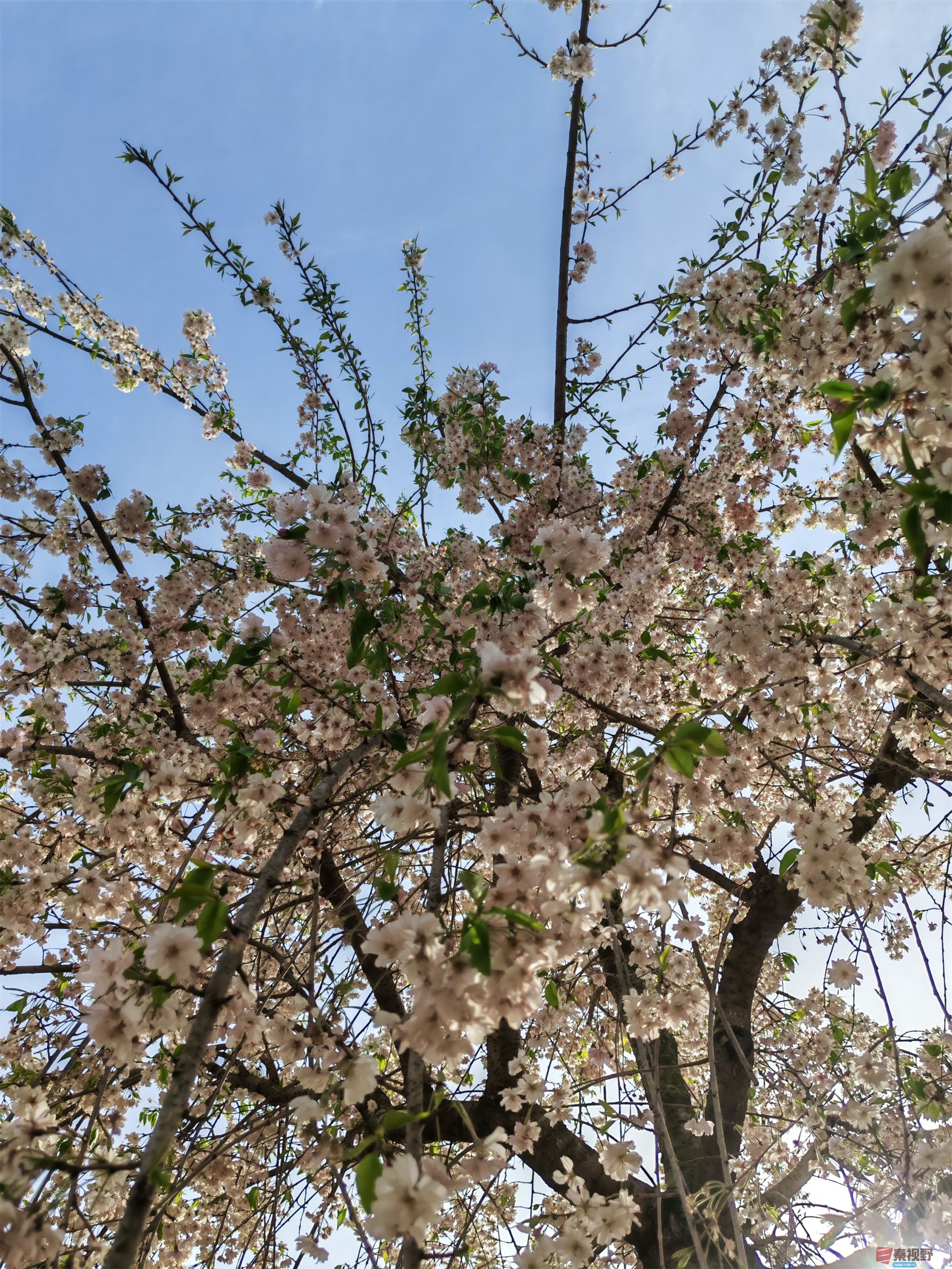 IMG_20250405_164340压缩 (2).jpg