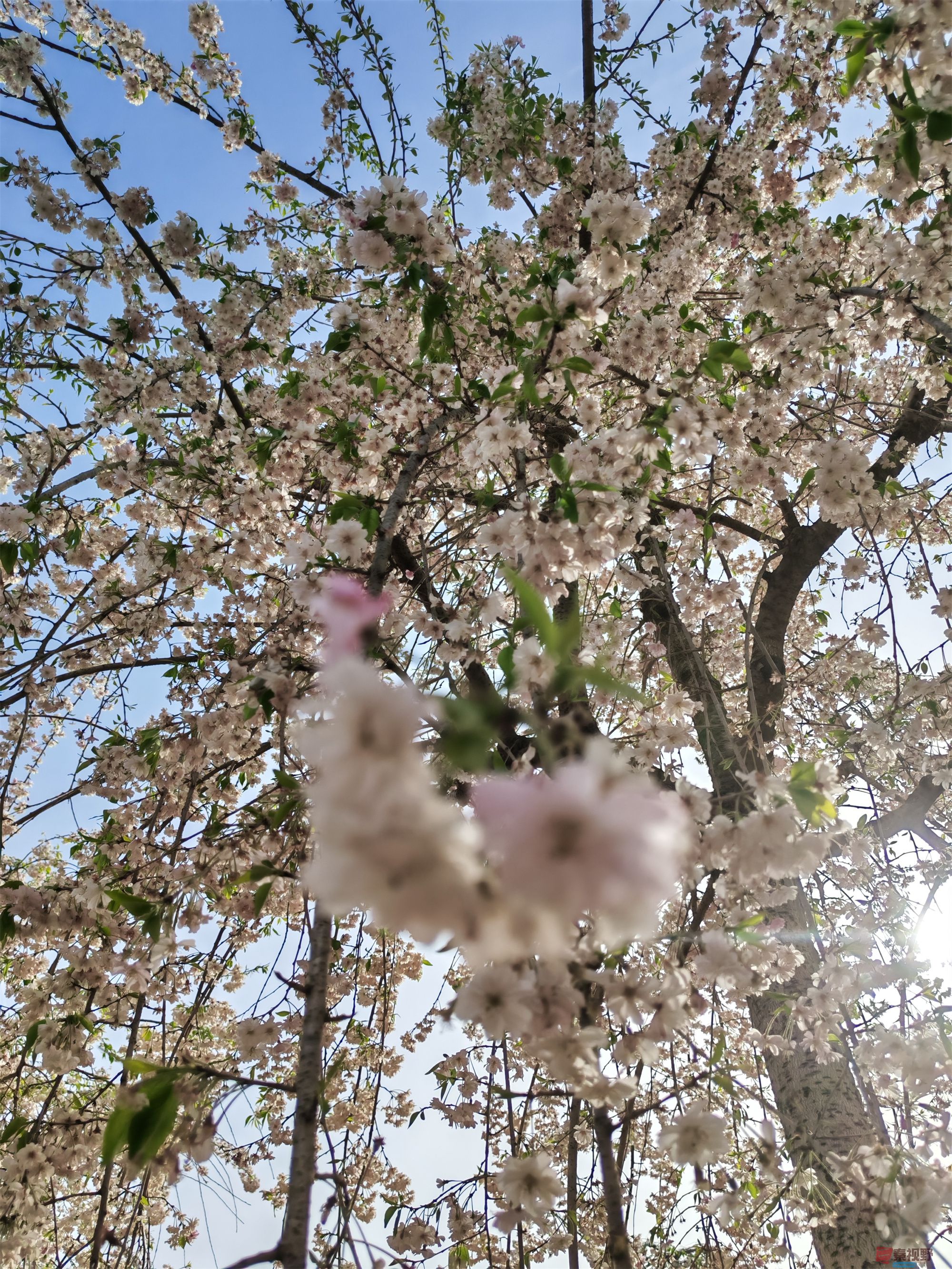 IMG_20250405_164340压缩 (3).jpg