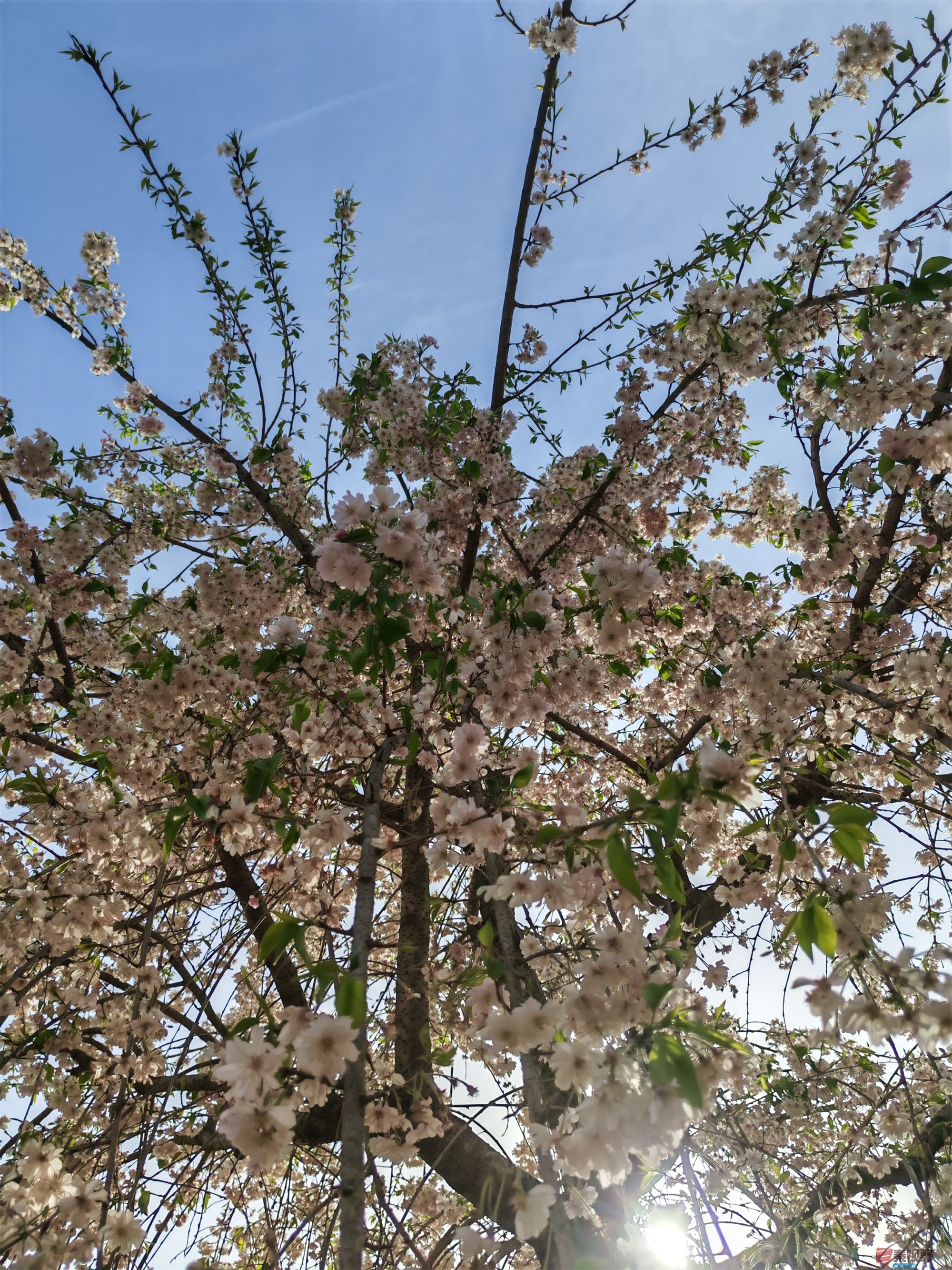 IMG_20250405_164340压缩 (4).jpg