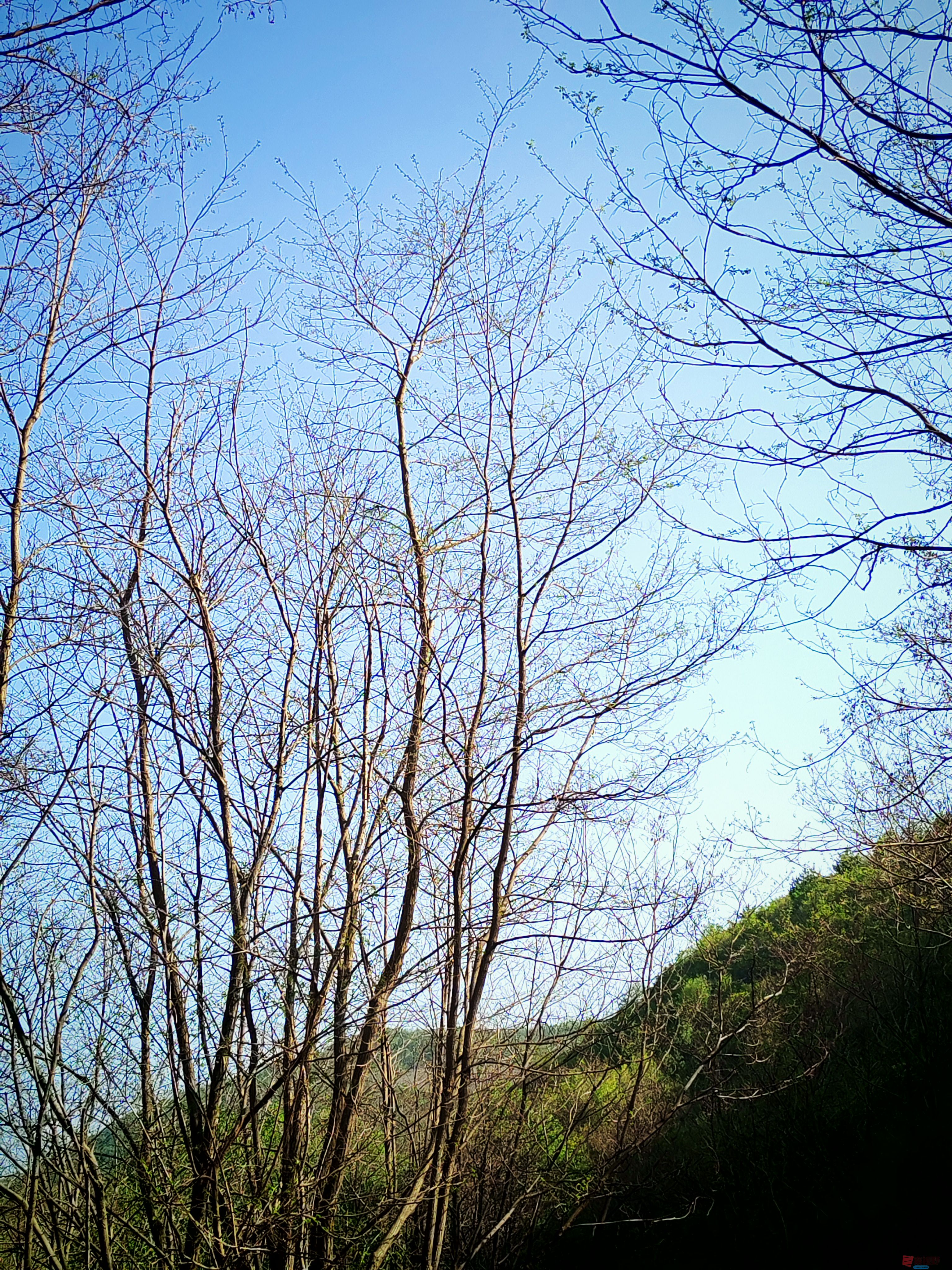 IMG_20250420_161152.jpg