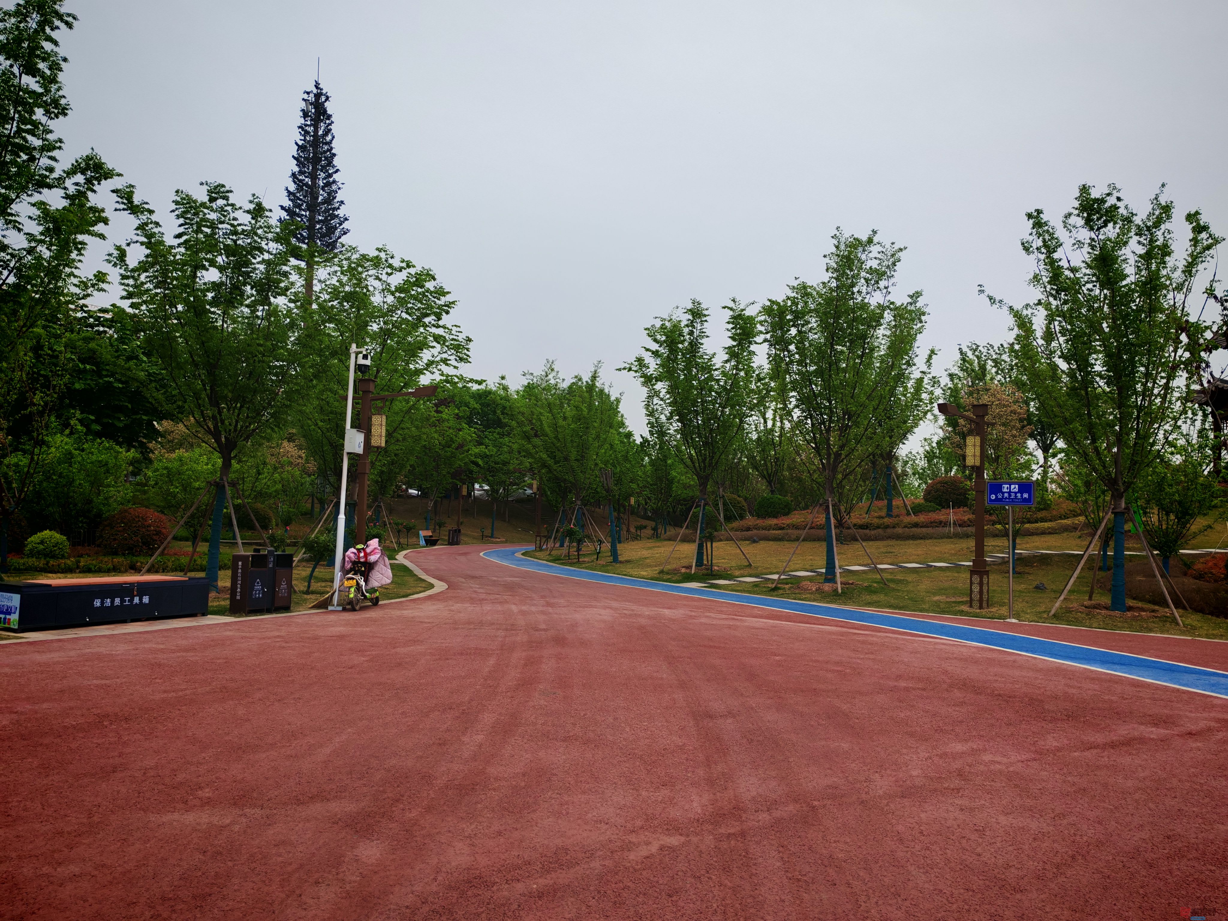 IMG_20250422_181423.jpg