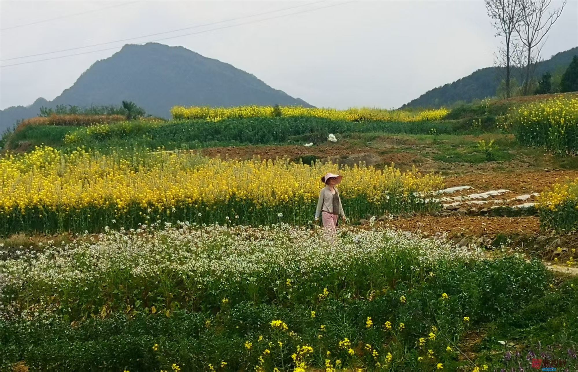 李雪平压缩_20250425112803 (8).jpg