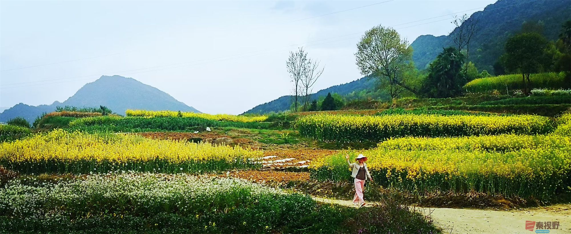 李雪平压缩_20250425112803 (14).jpg