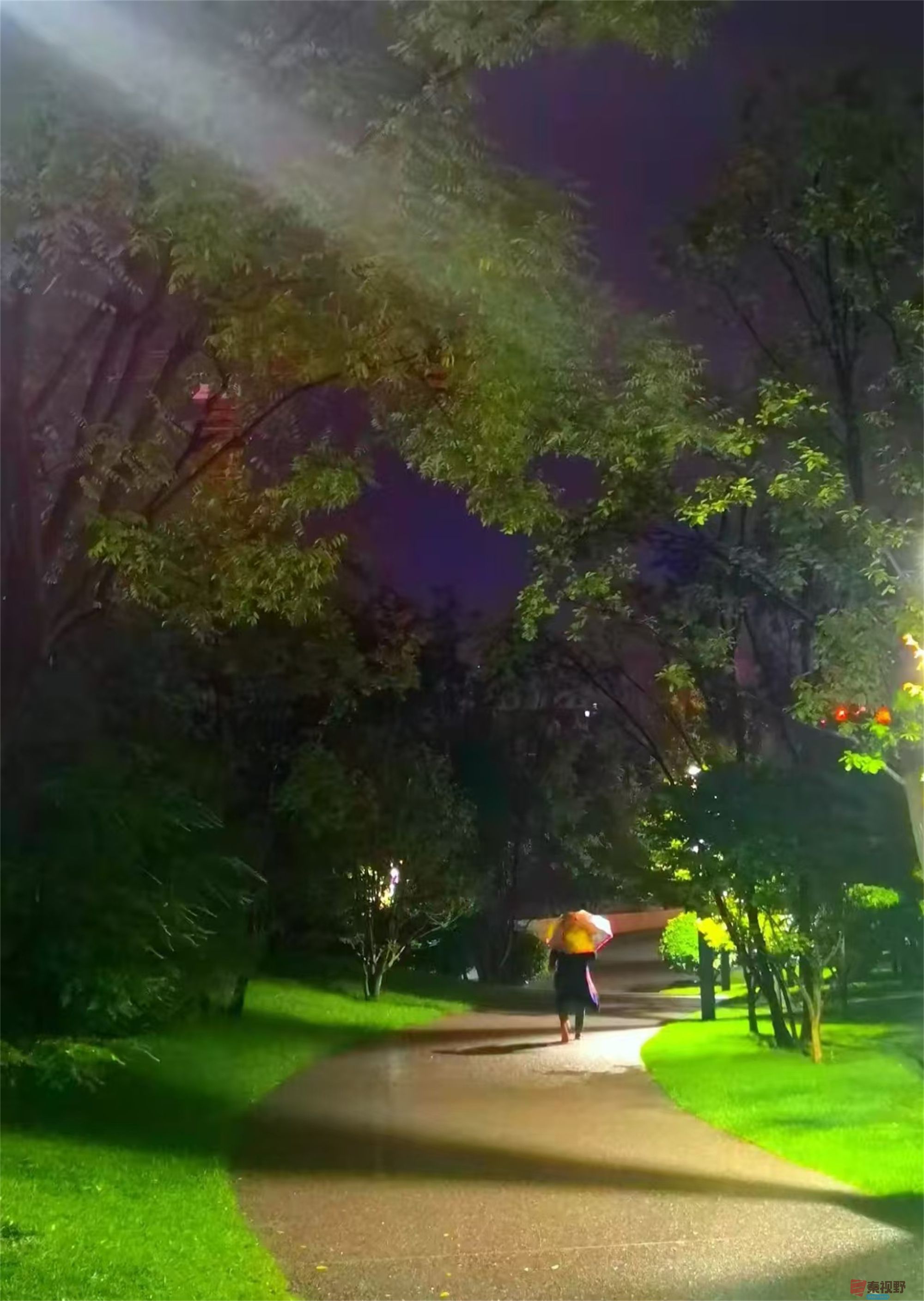 李雪平_20250425114349 (2).jpg