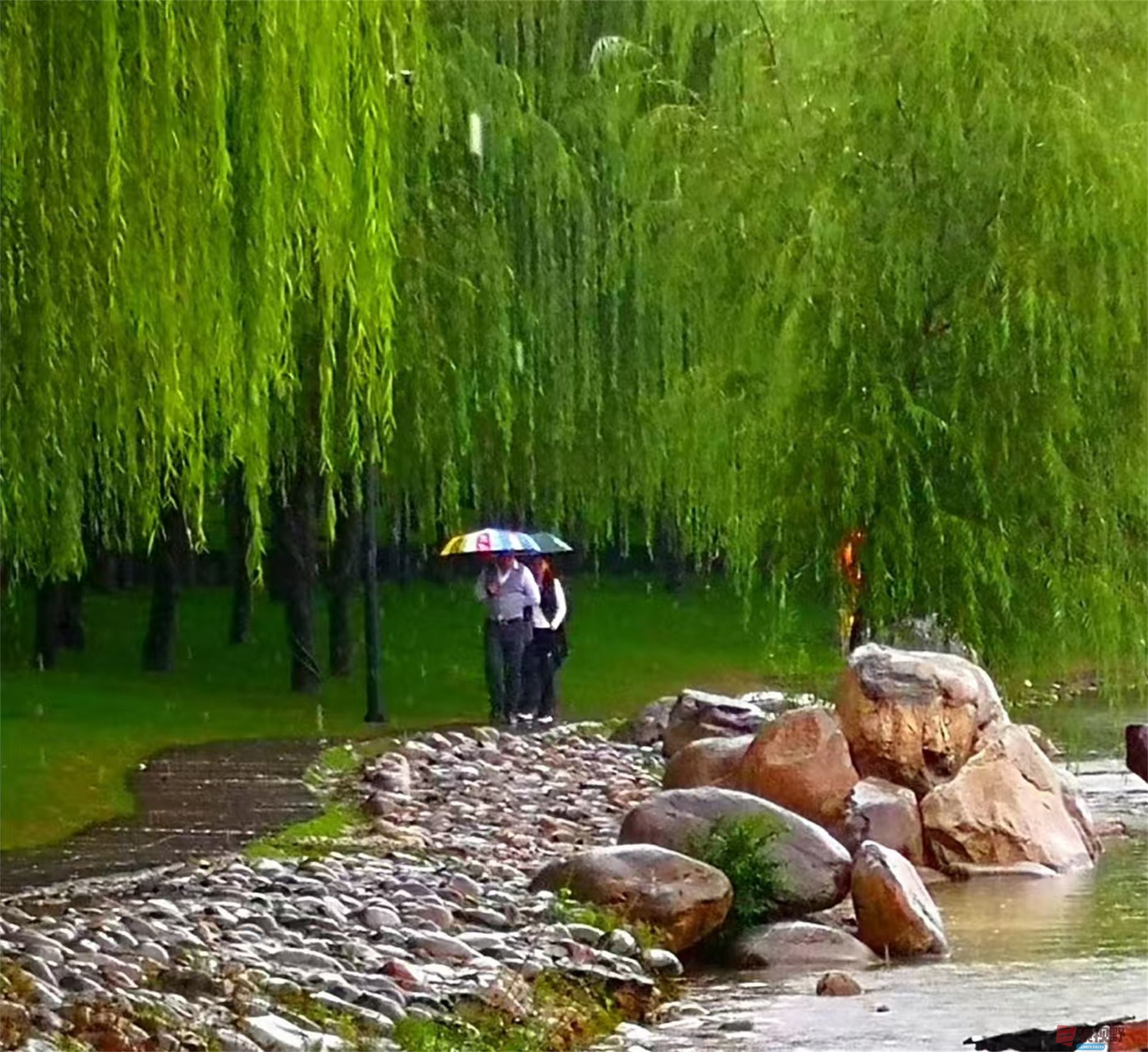 李雪平_20250425114349 (5).jpg