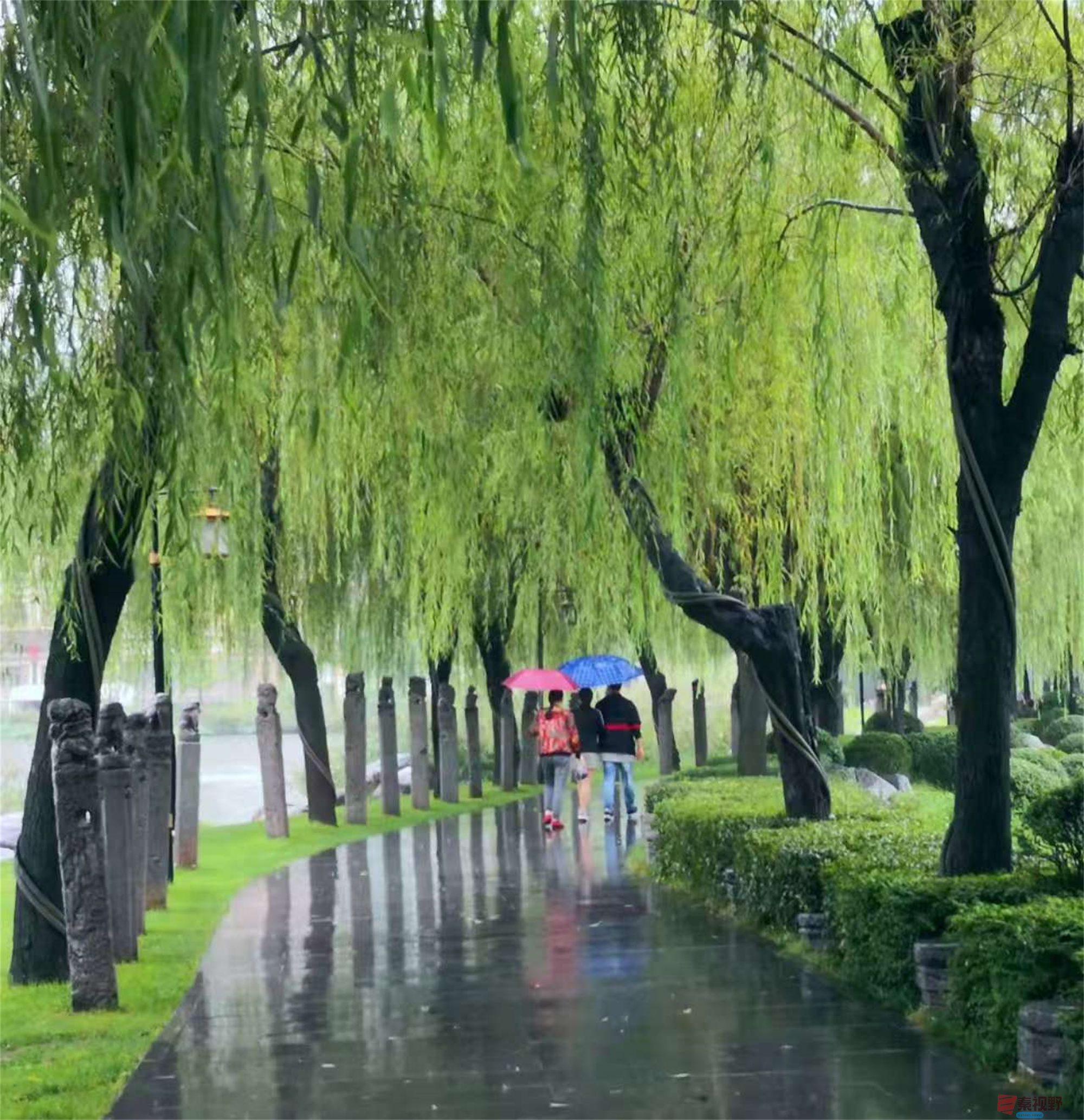 李雪平_20250425114349 (9).jpg