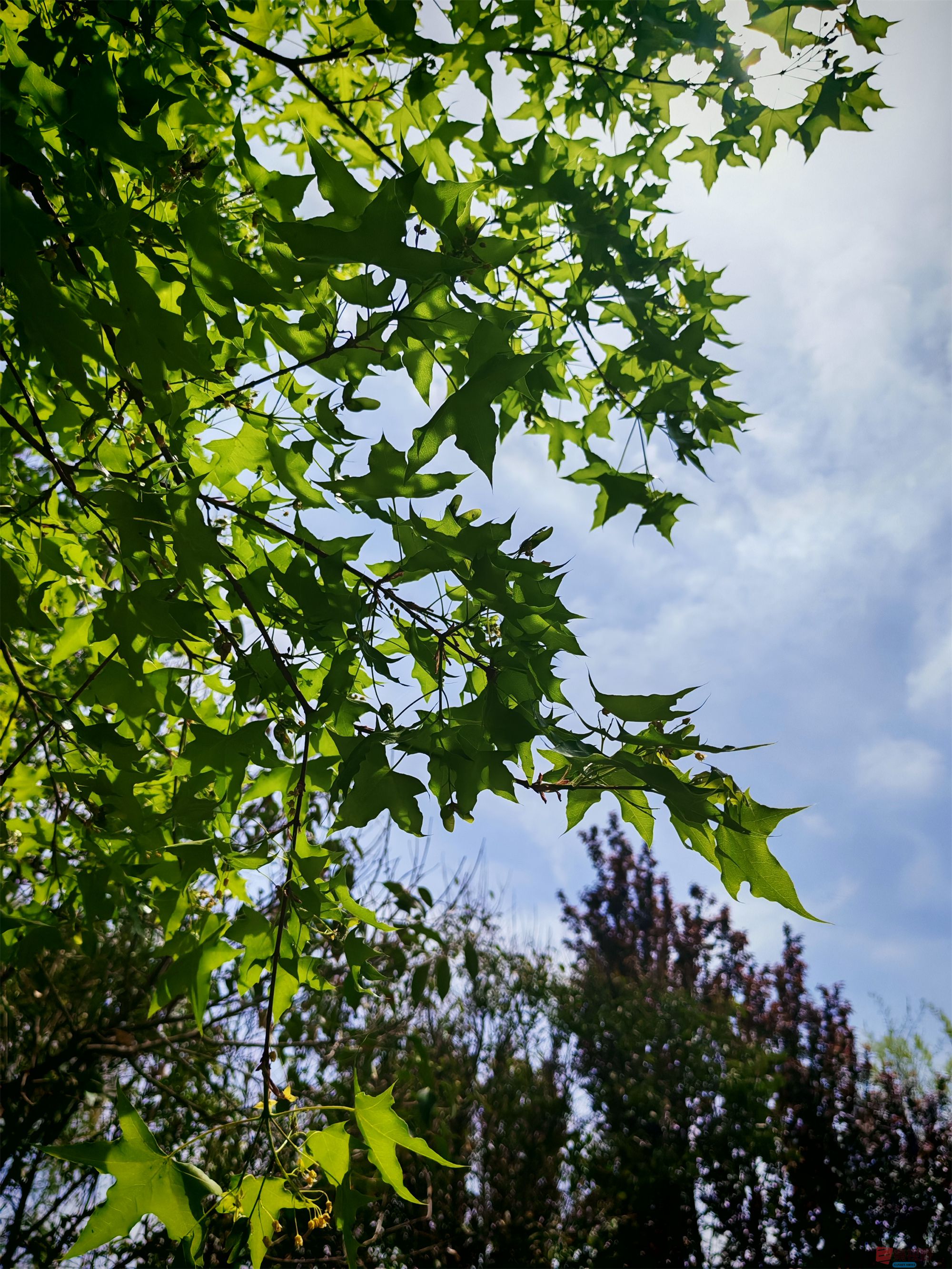 IMG_20250425_122459压缩 (131).jpg