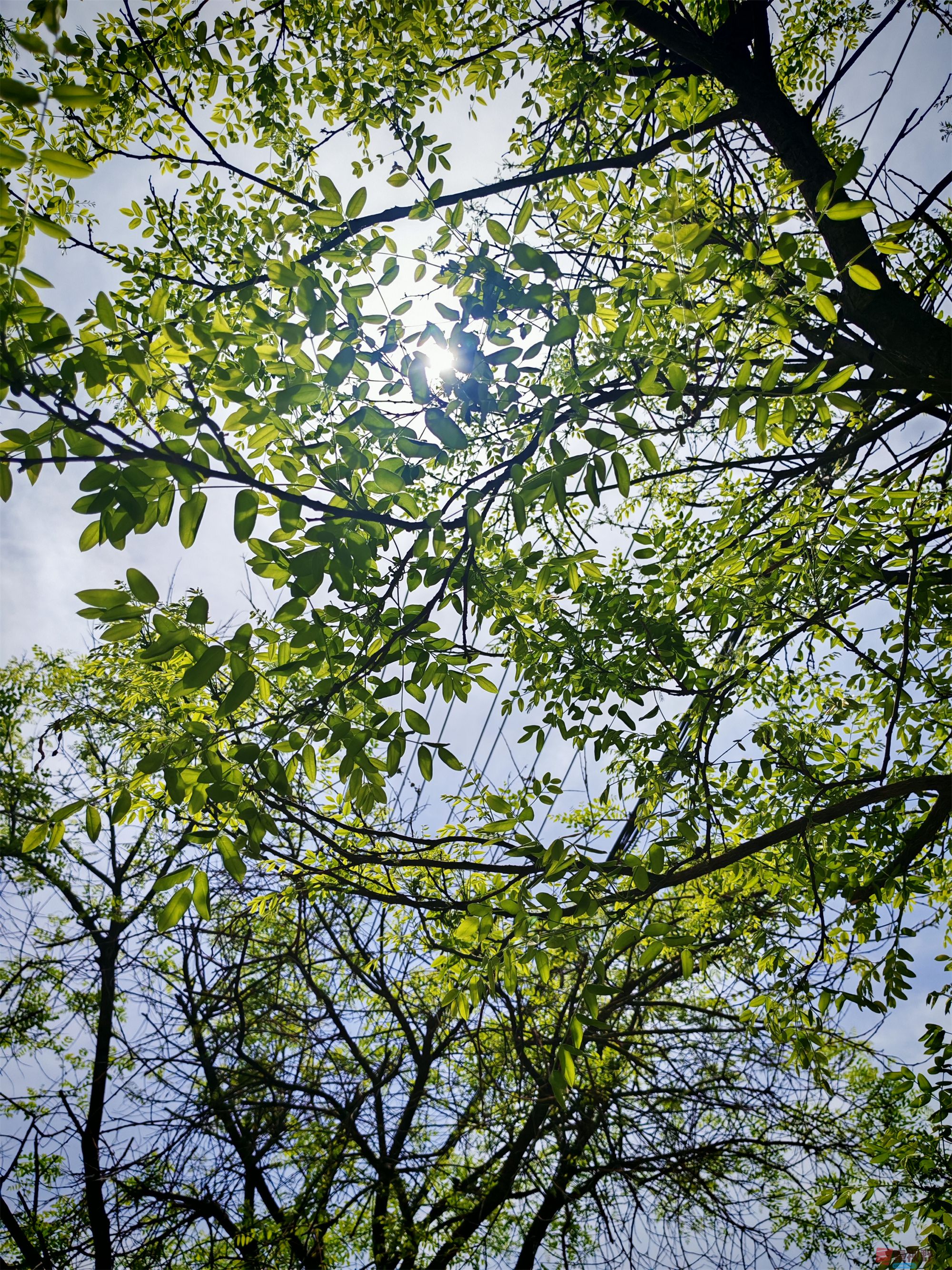IMG_20250425_122459压缩 (183).jpg