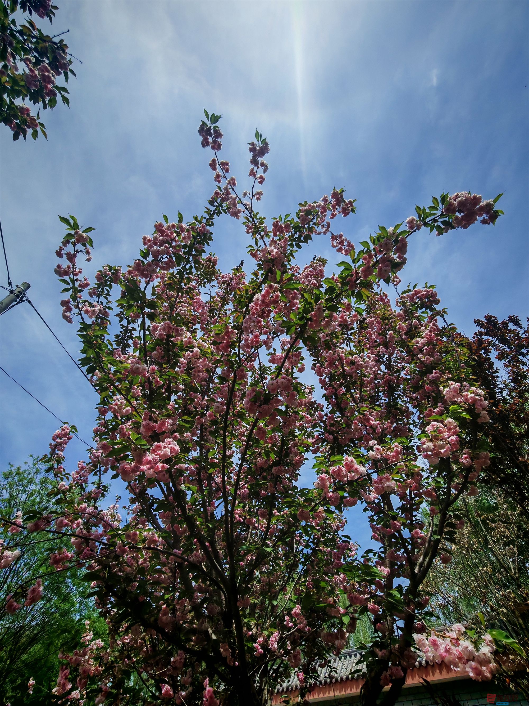 IMG_20250425_122459压缩 (150).jpg