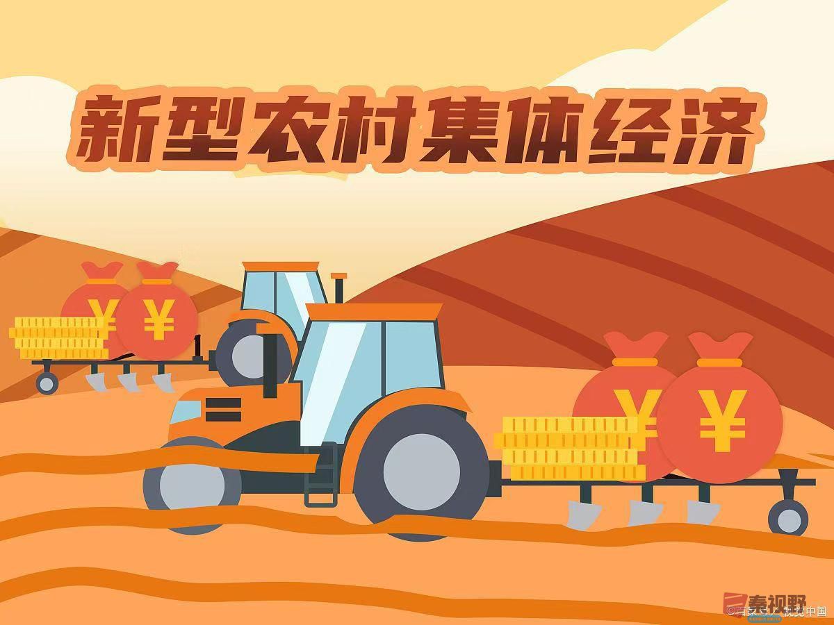 乡村振兴背景下农村集体经济组织资产有效管理和分配路径
