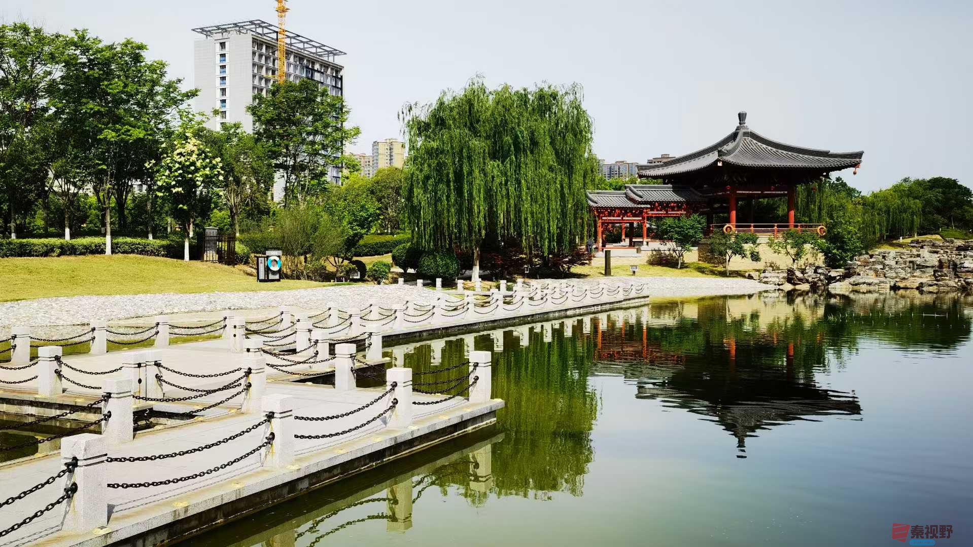 马世国_20250514084622 (4).jpg