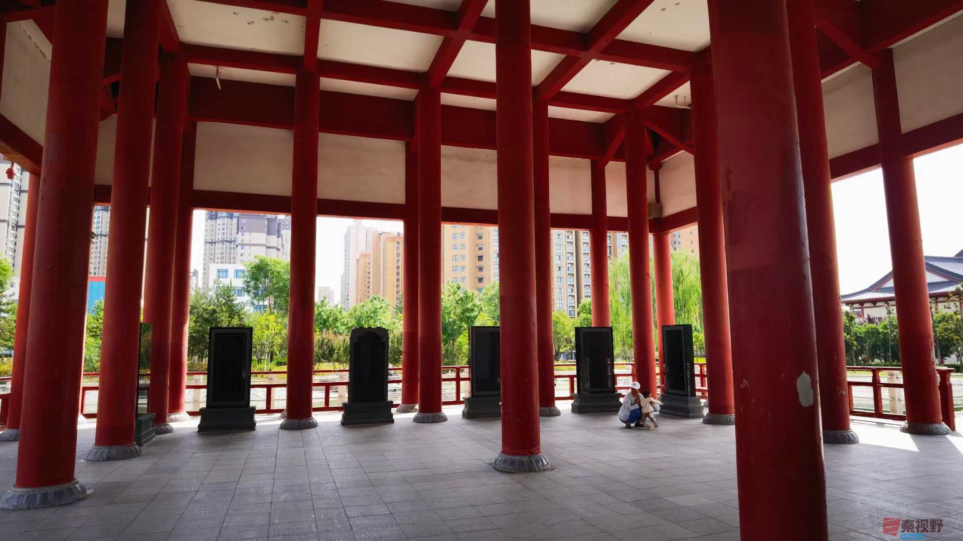 马世国_20250514084622 (7).jpg