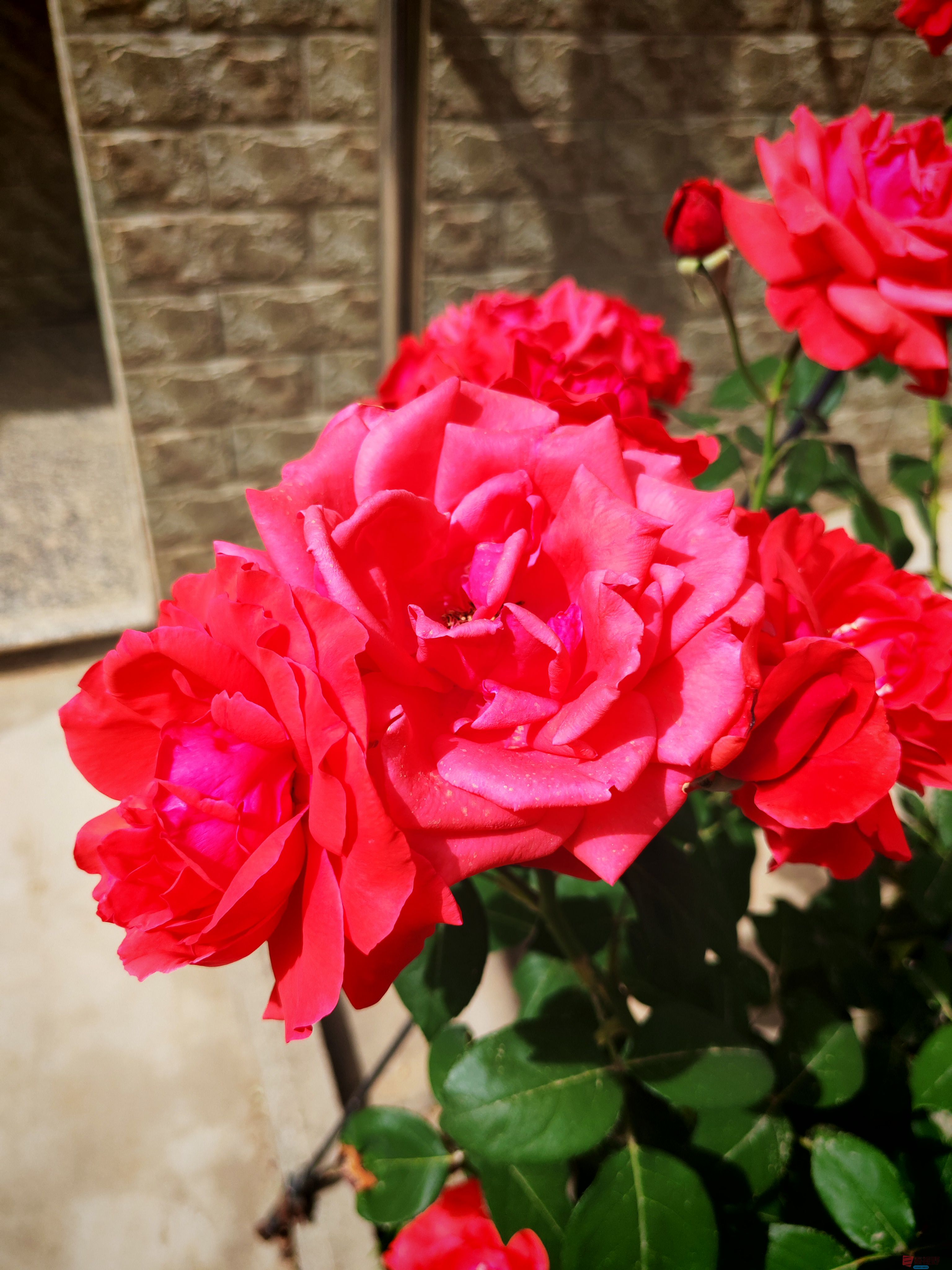 IMG_20250505_151842.jpg