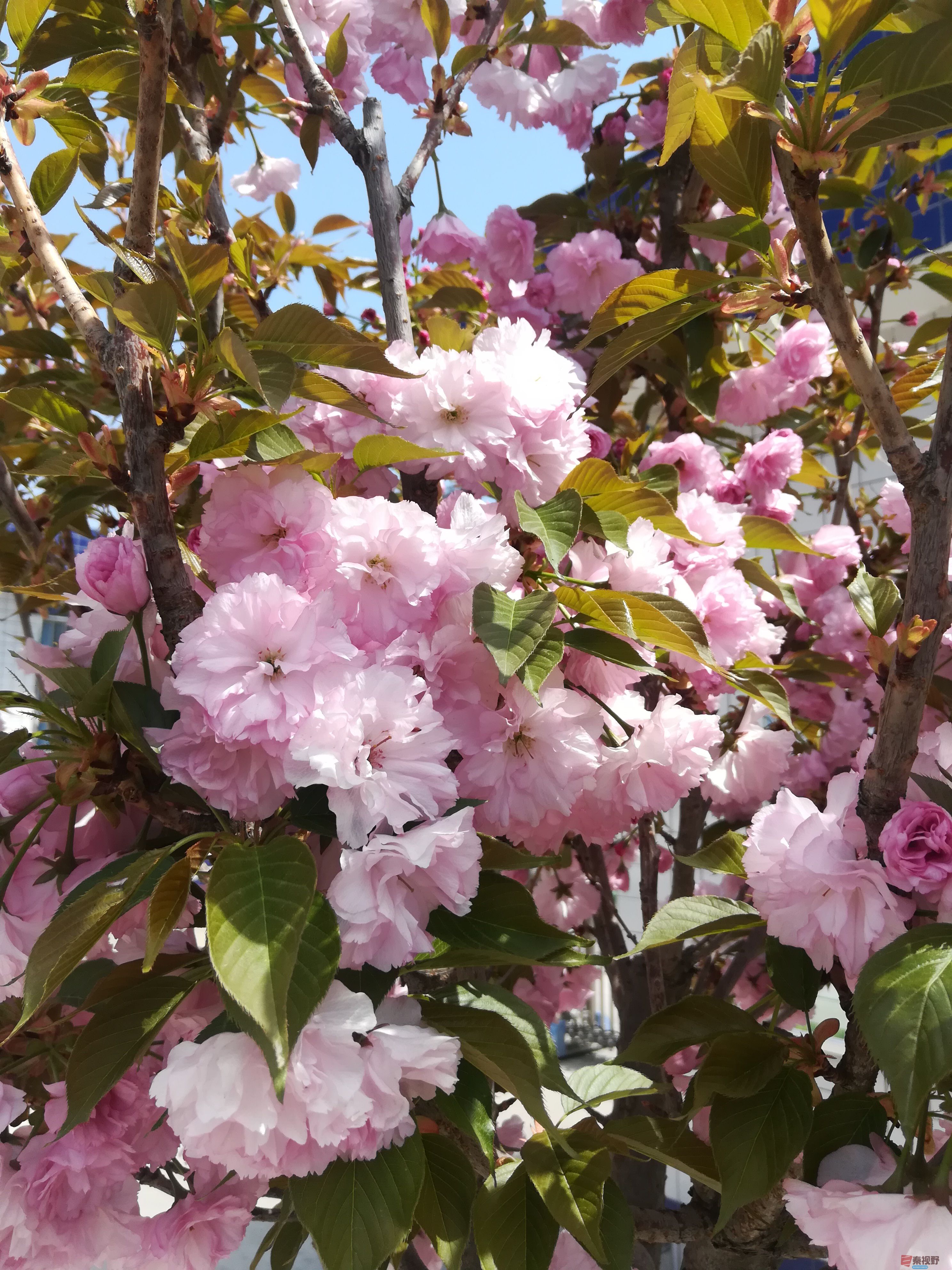 IMG_20190415_120114.jpg