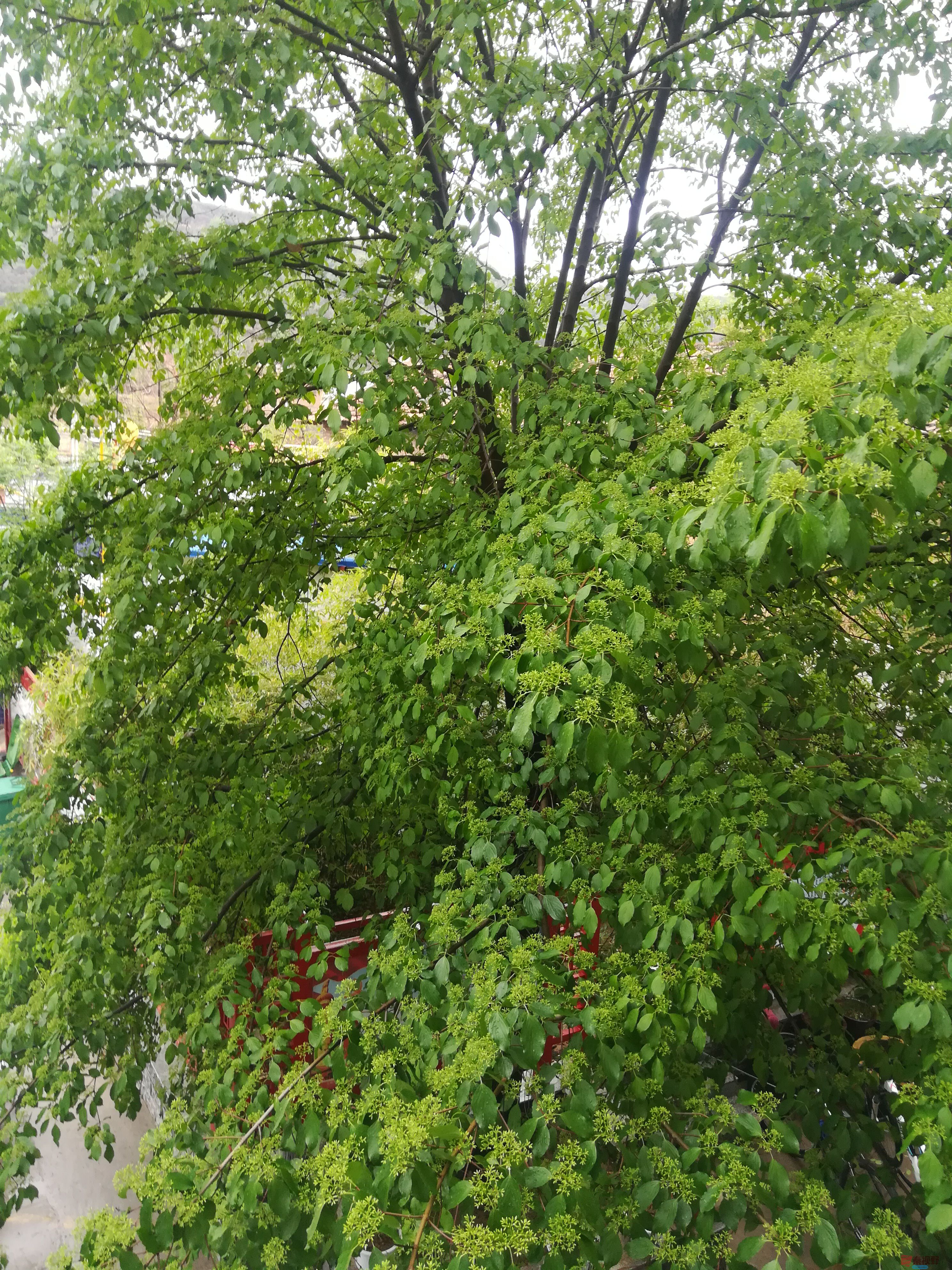 IMG_20190427_101014.jpg