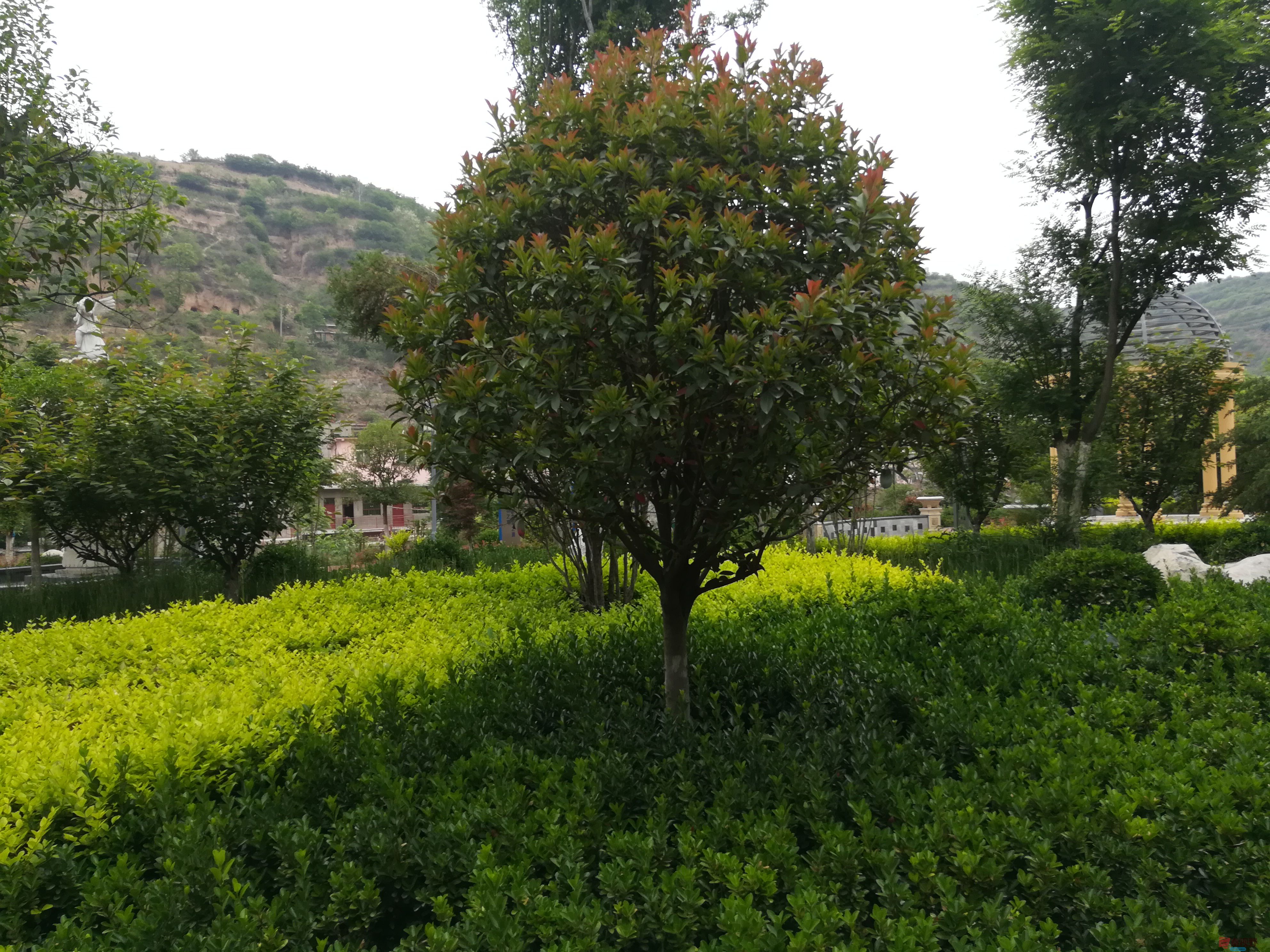 IMG_20190518_092705.jpg
