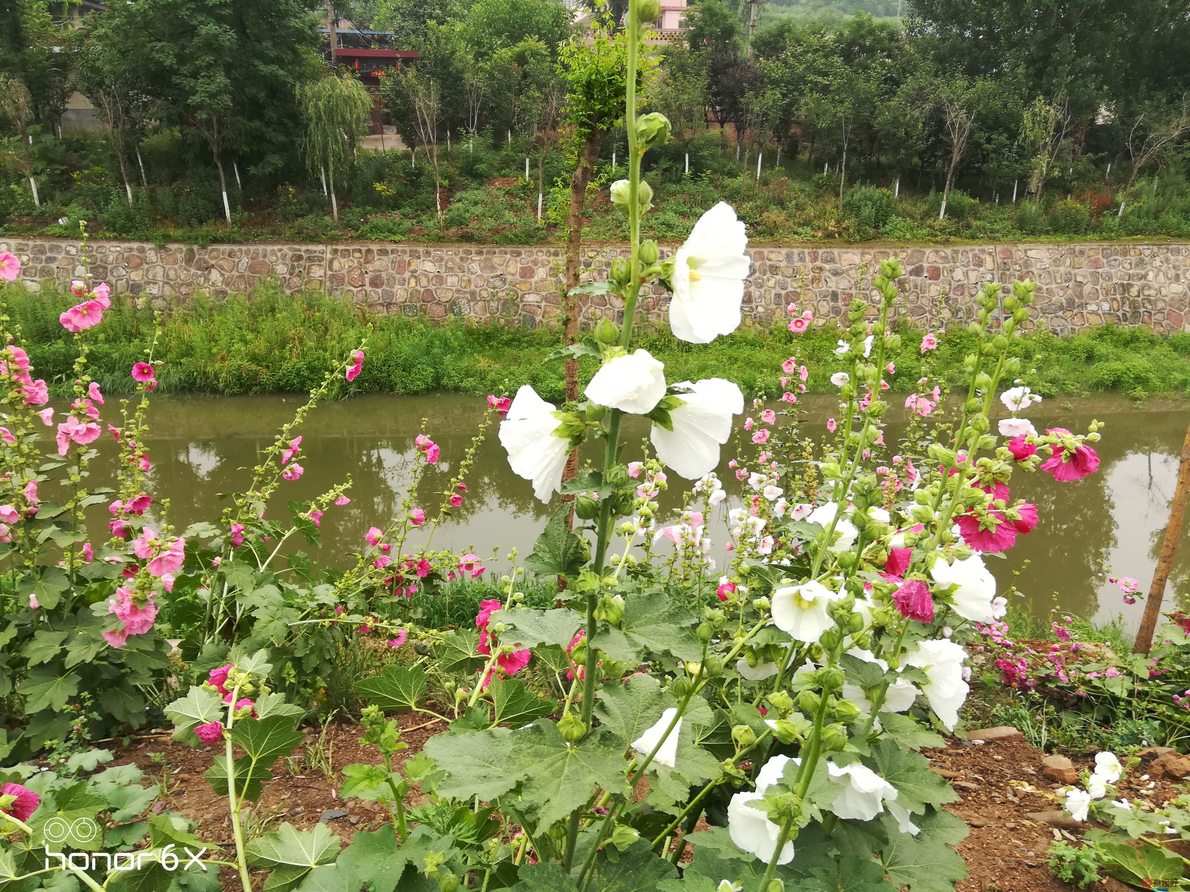 IMG_20190622_0852440 (19).jpg